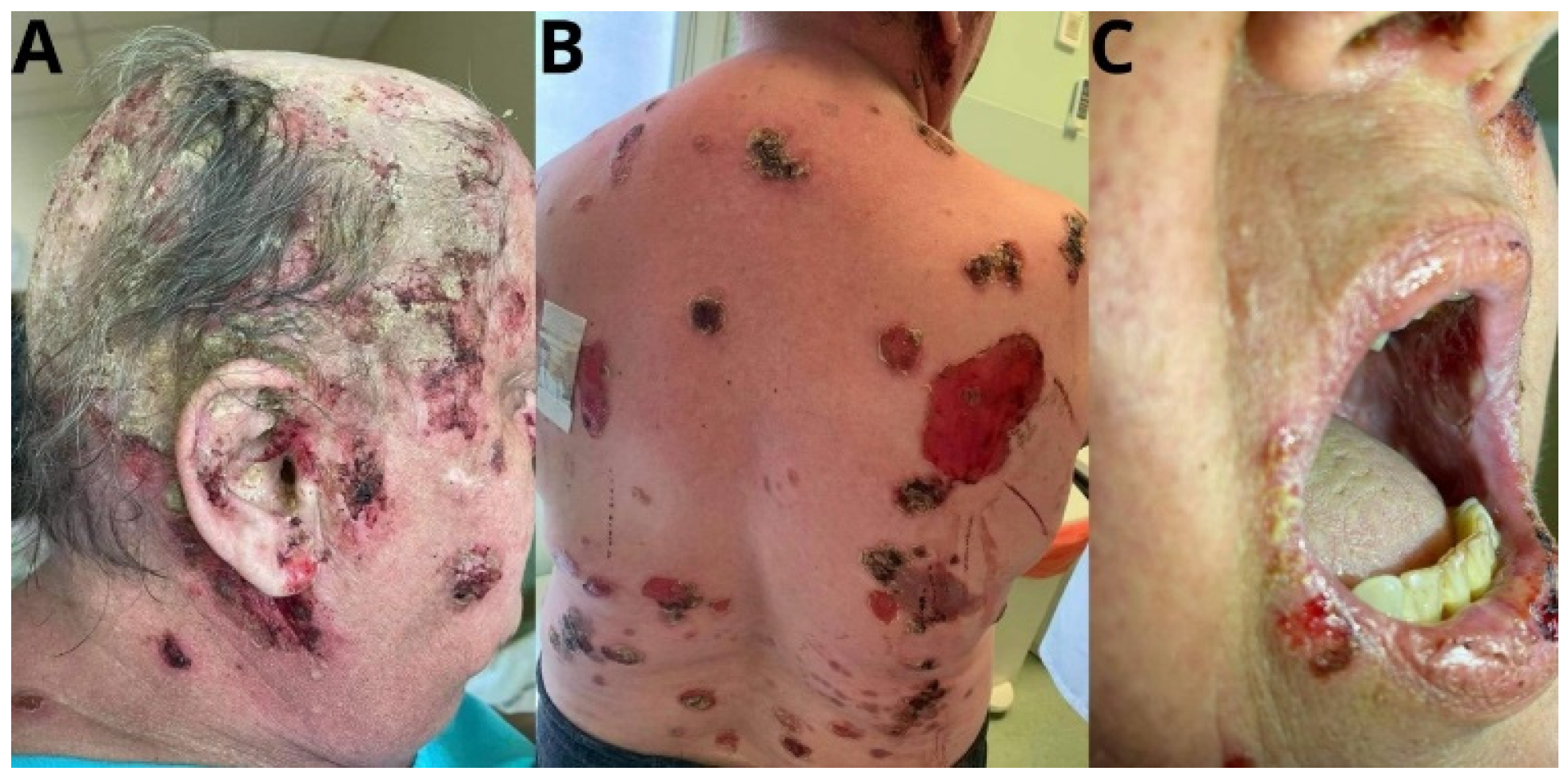 Preprints 140998 g001