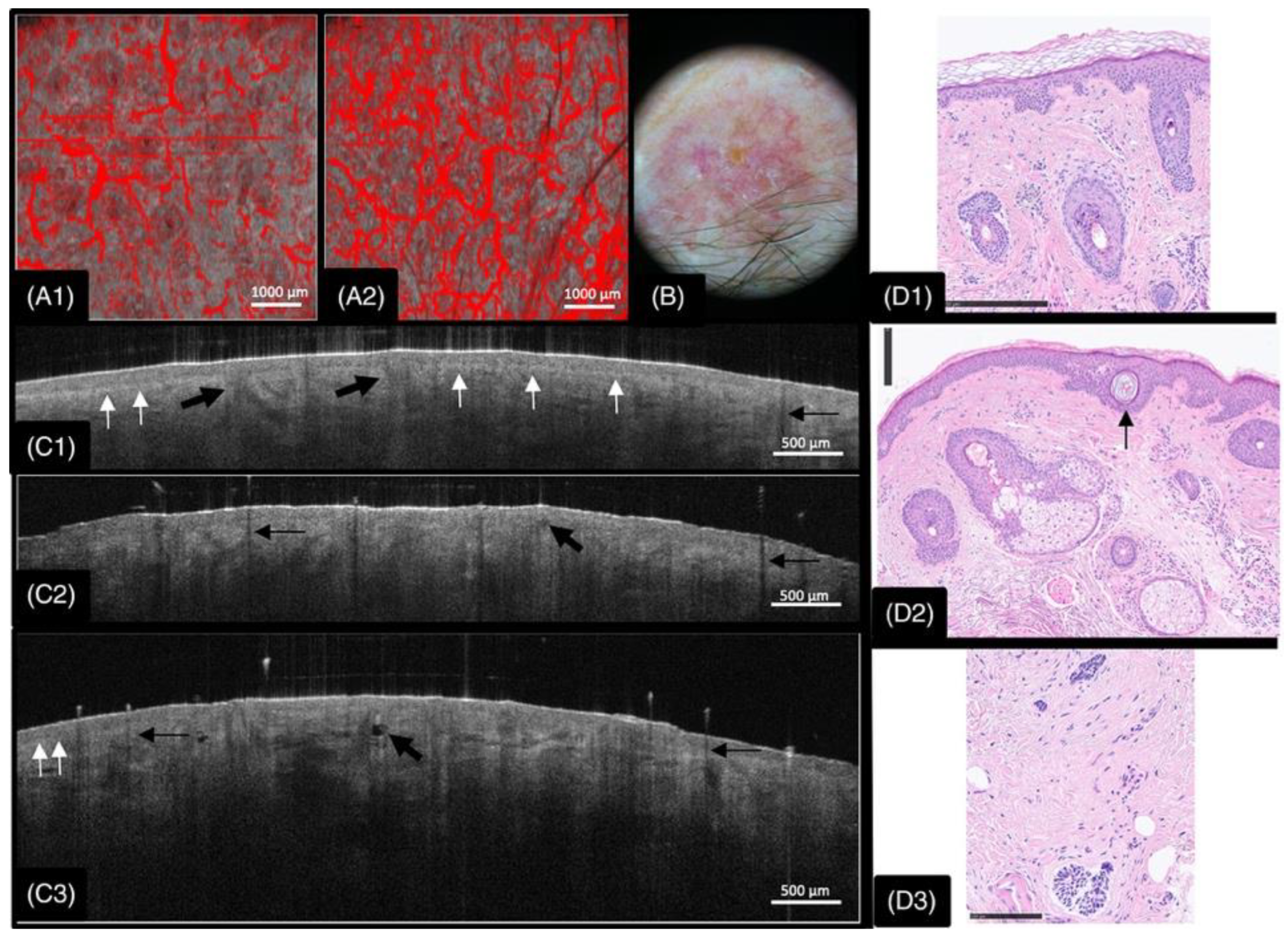 Preprints 159518 g001