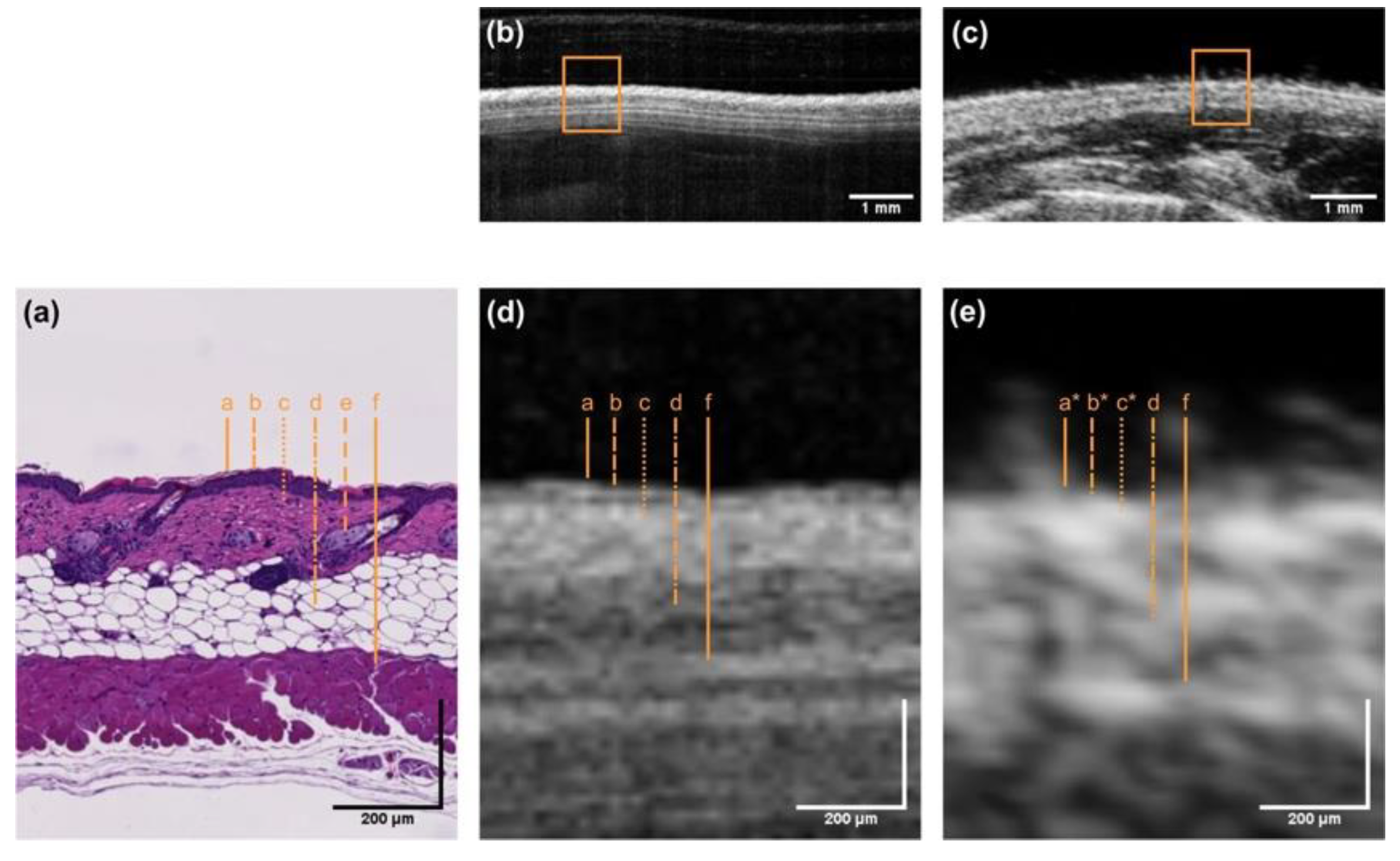 Preprints 159518 g002