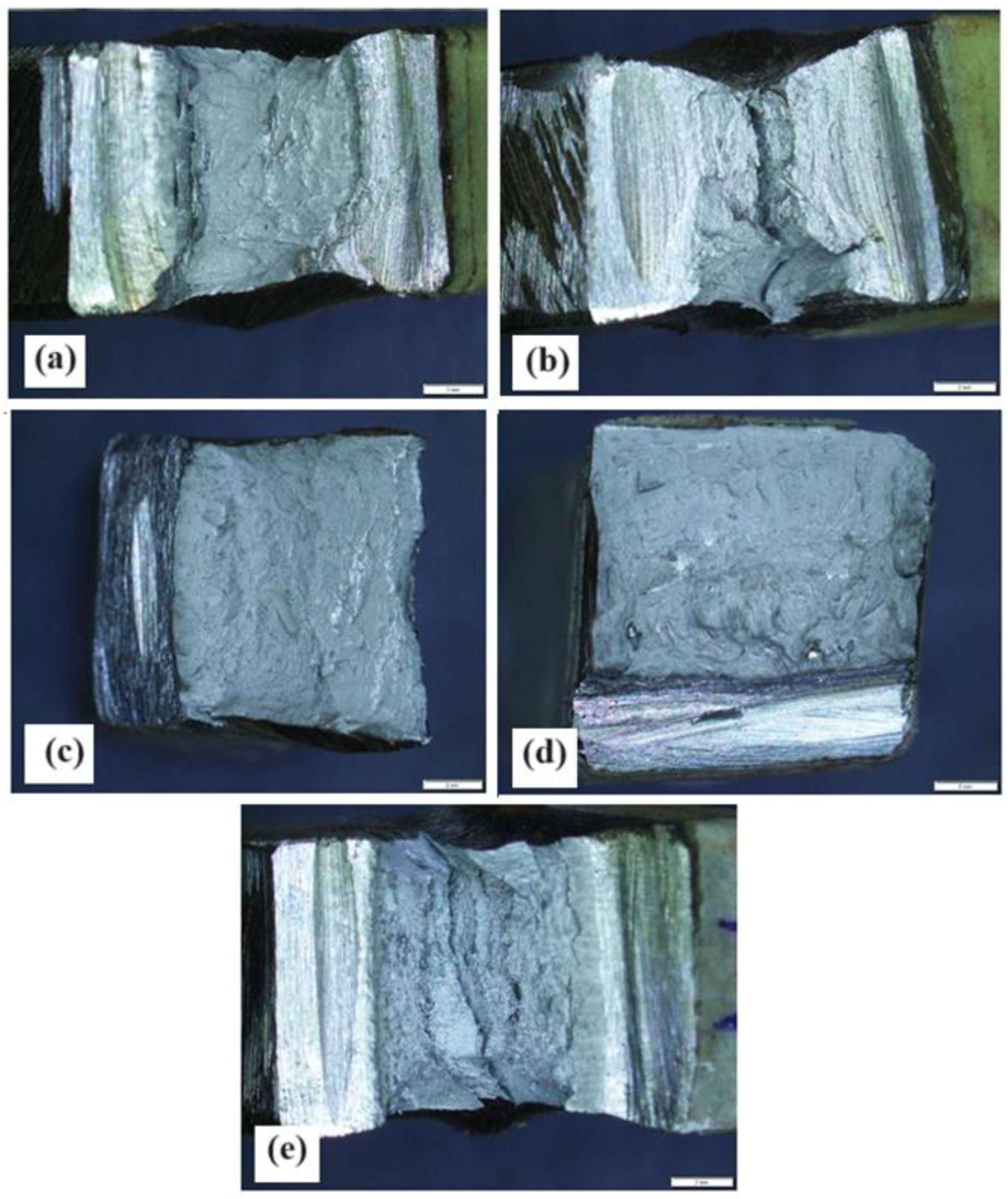 Preprints 122044 g005