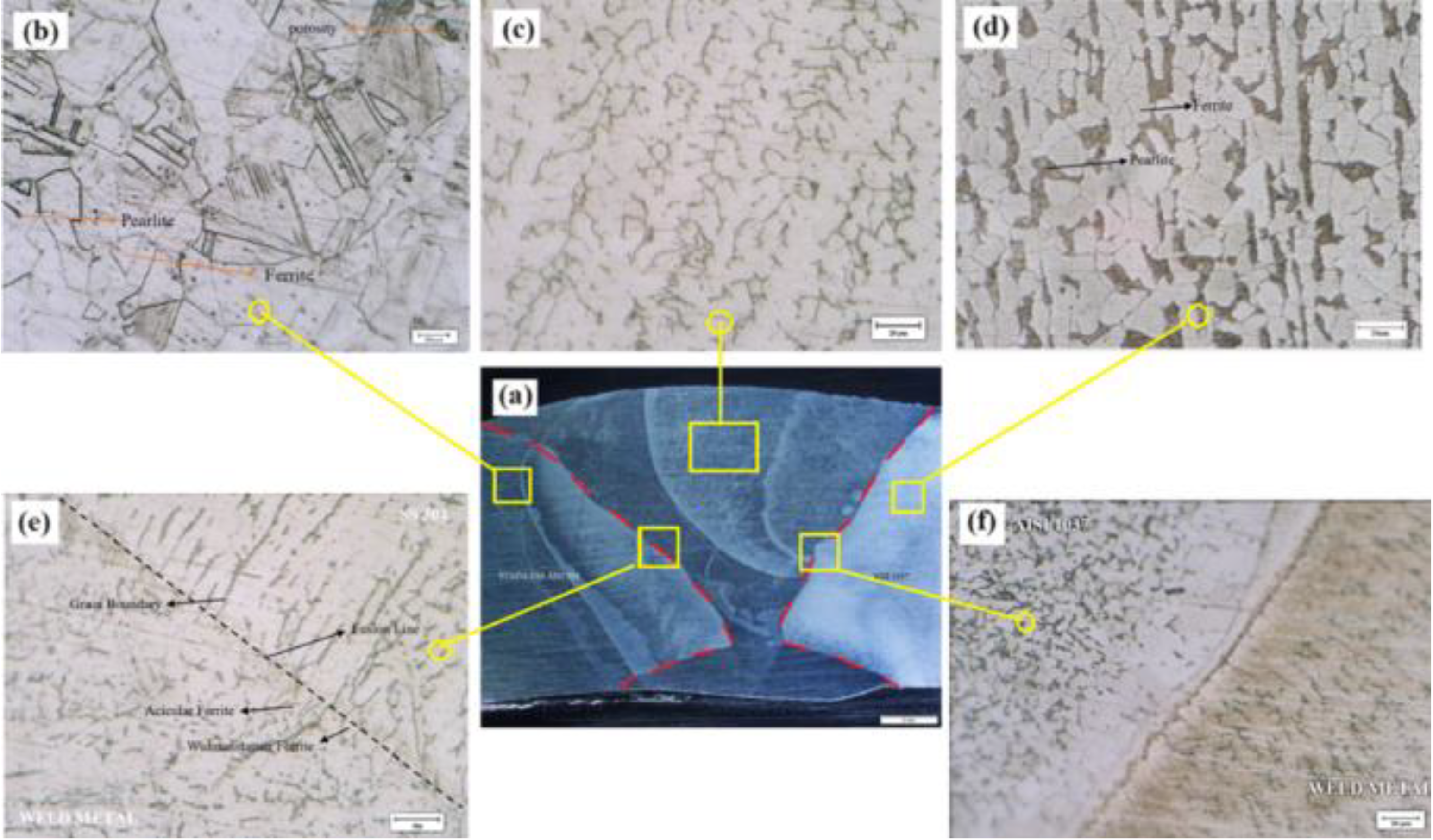 Preprints 122044 g006