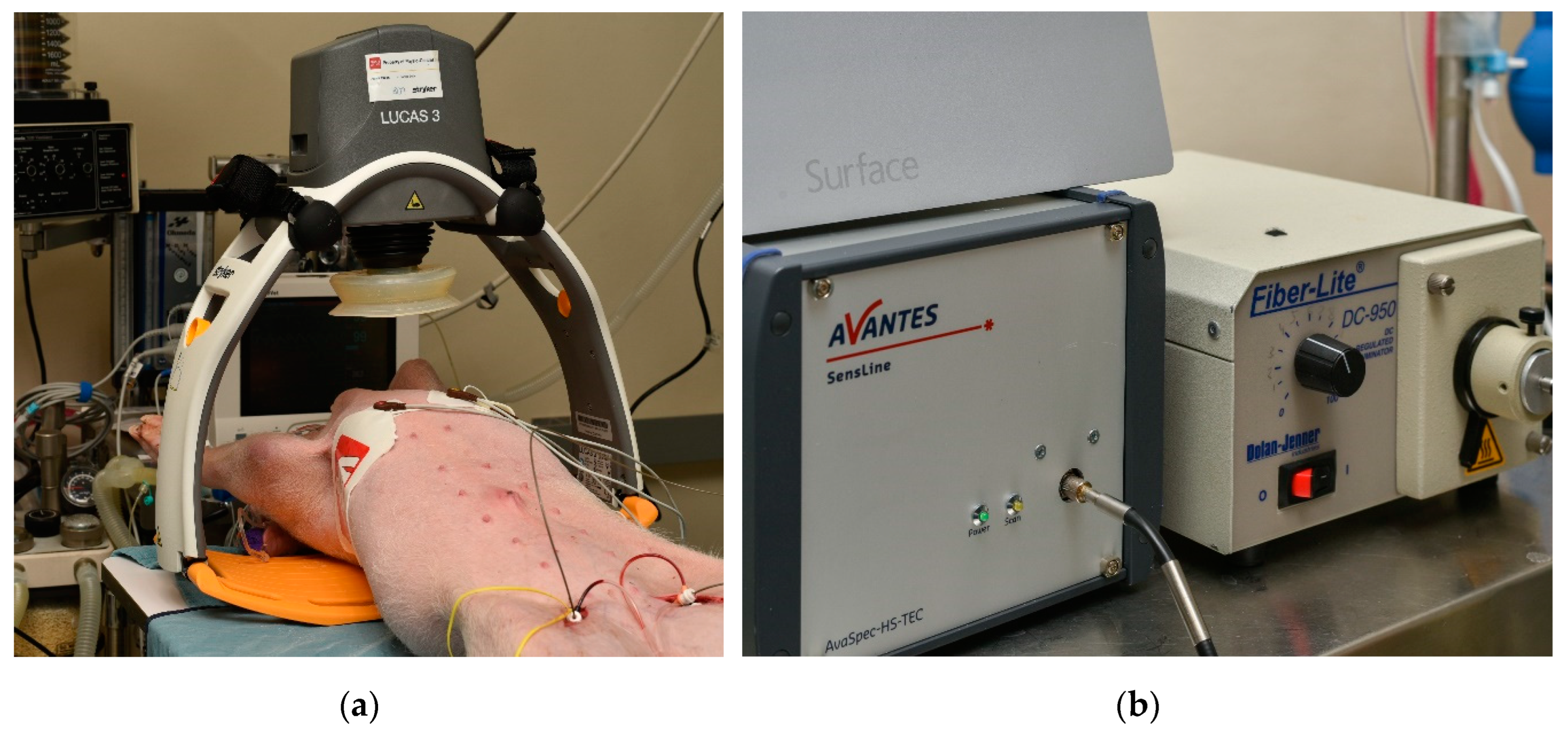 Preprints 145161 g001