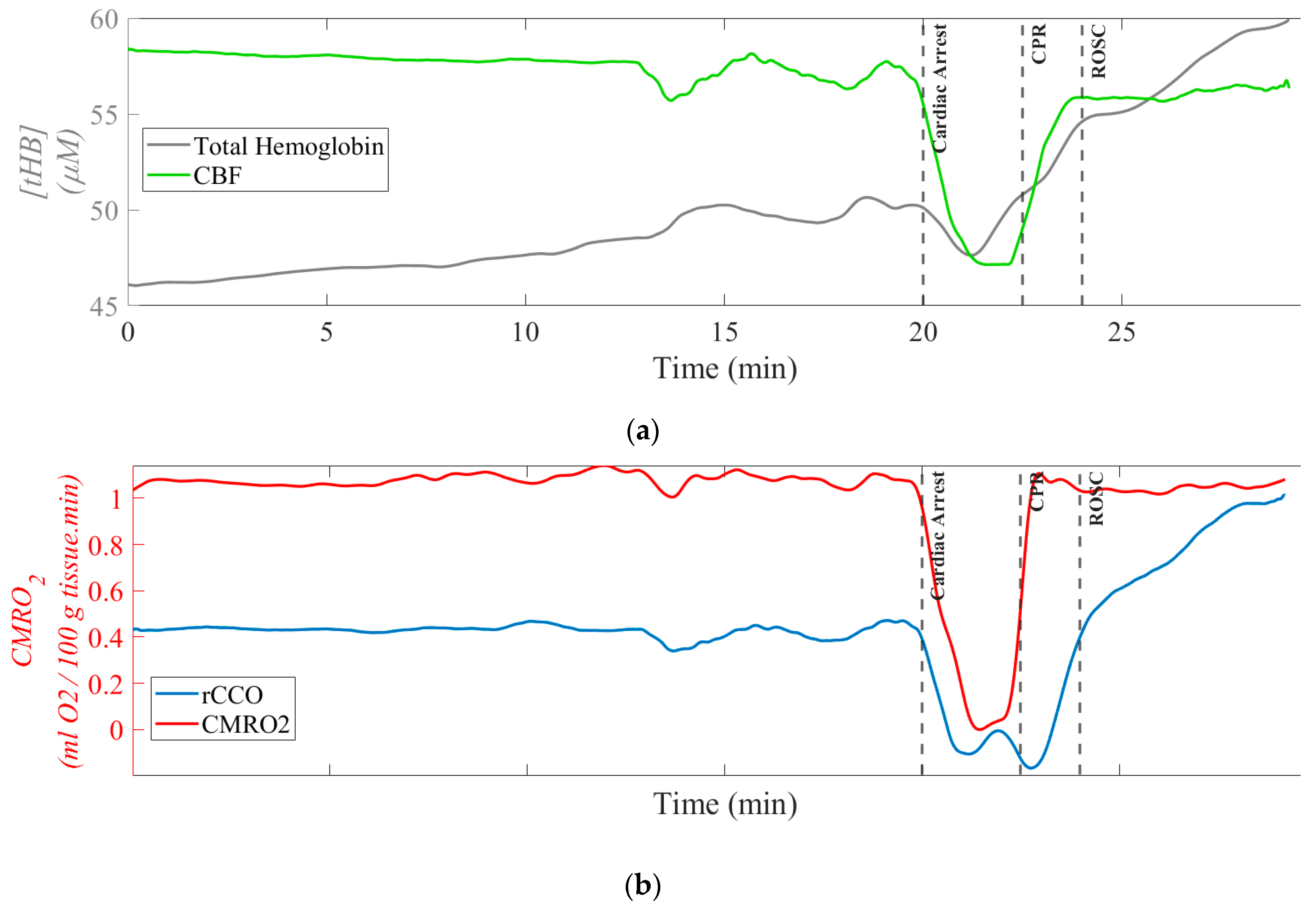 Preprints 145161 g002