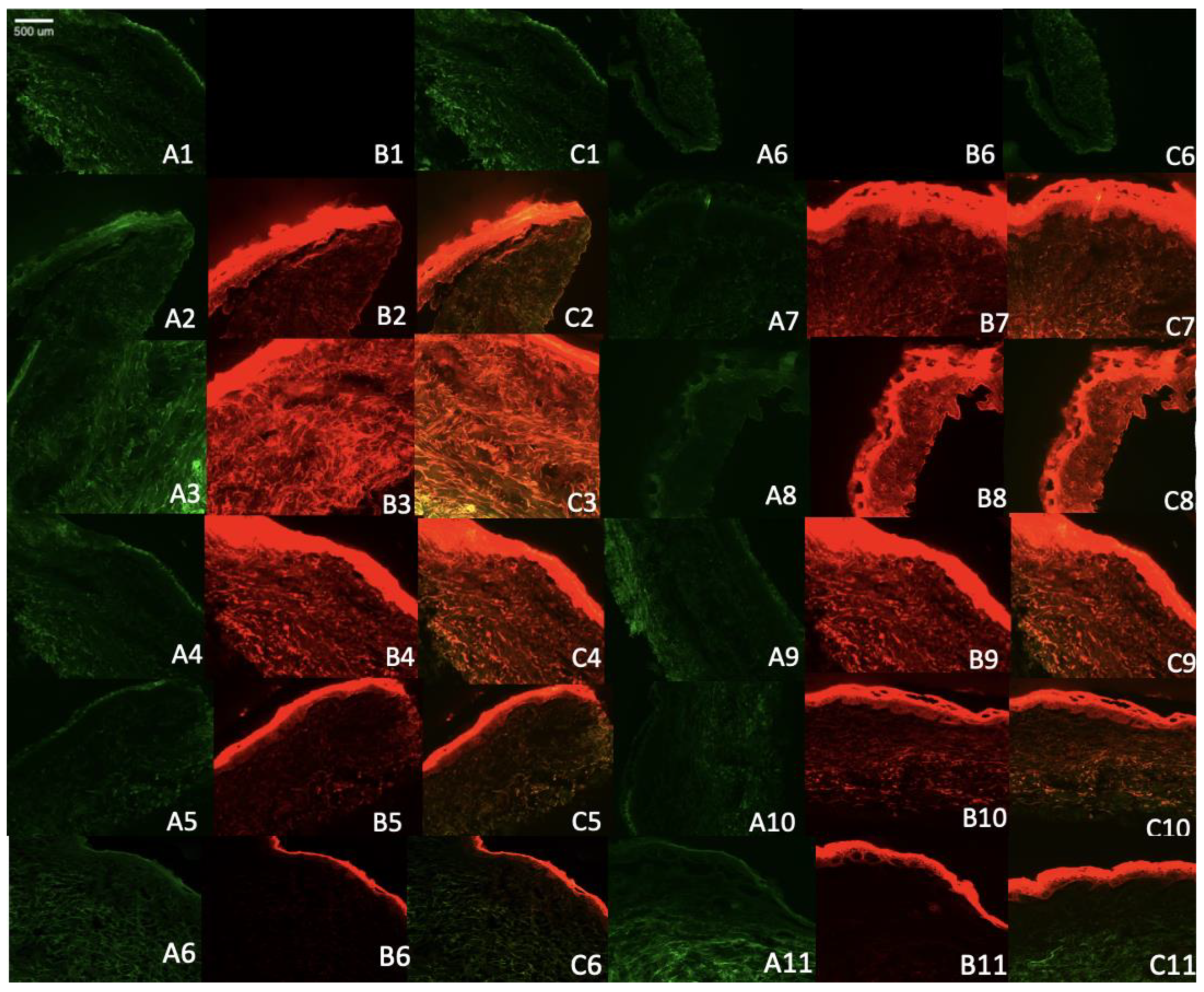 Preprints 86969 g004