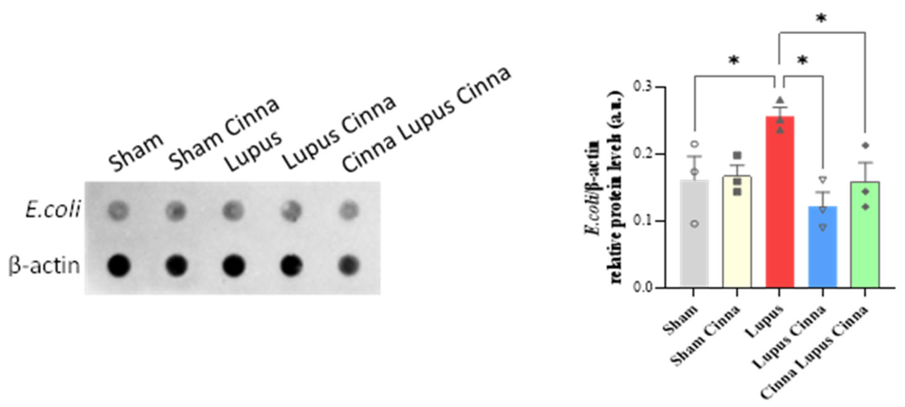 Preprints 184184 g008