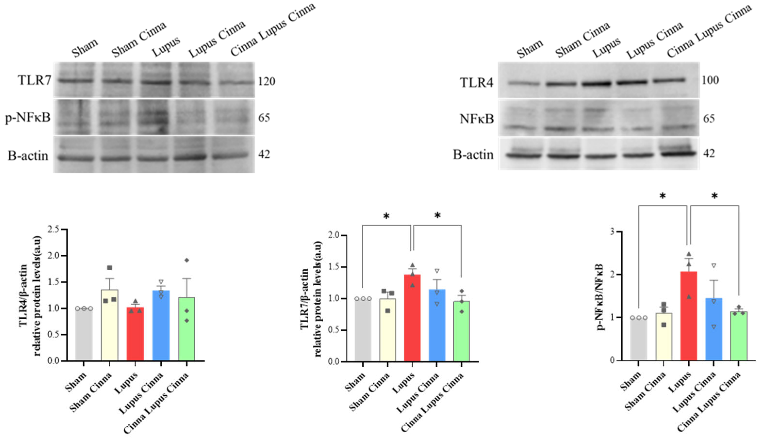 Preprints 184184 g009