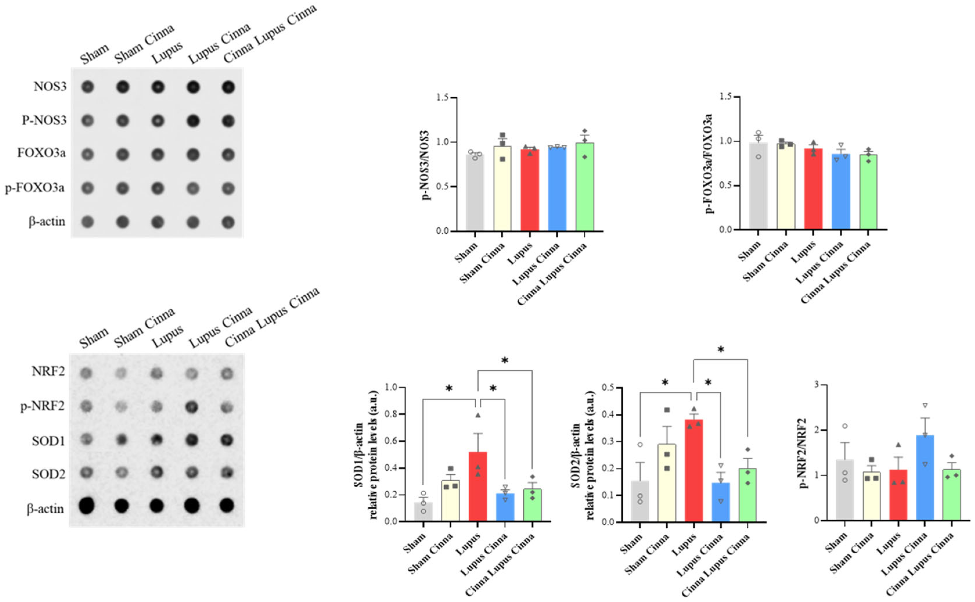 Preprints 184184 g010