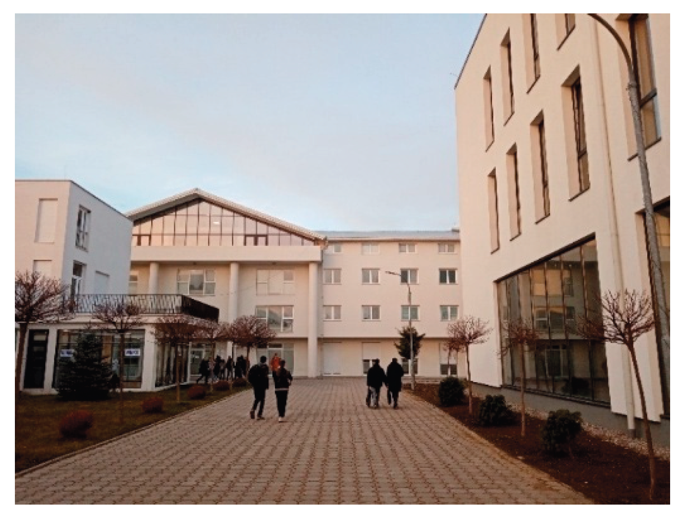 Preprints 186866 g001