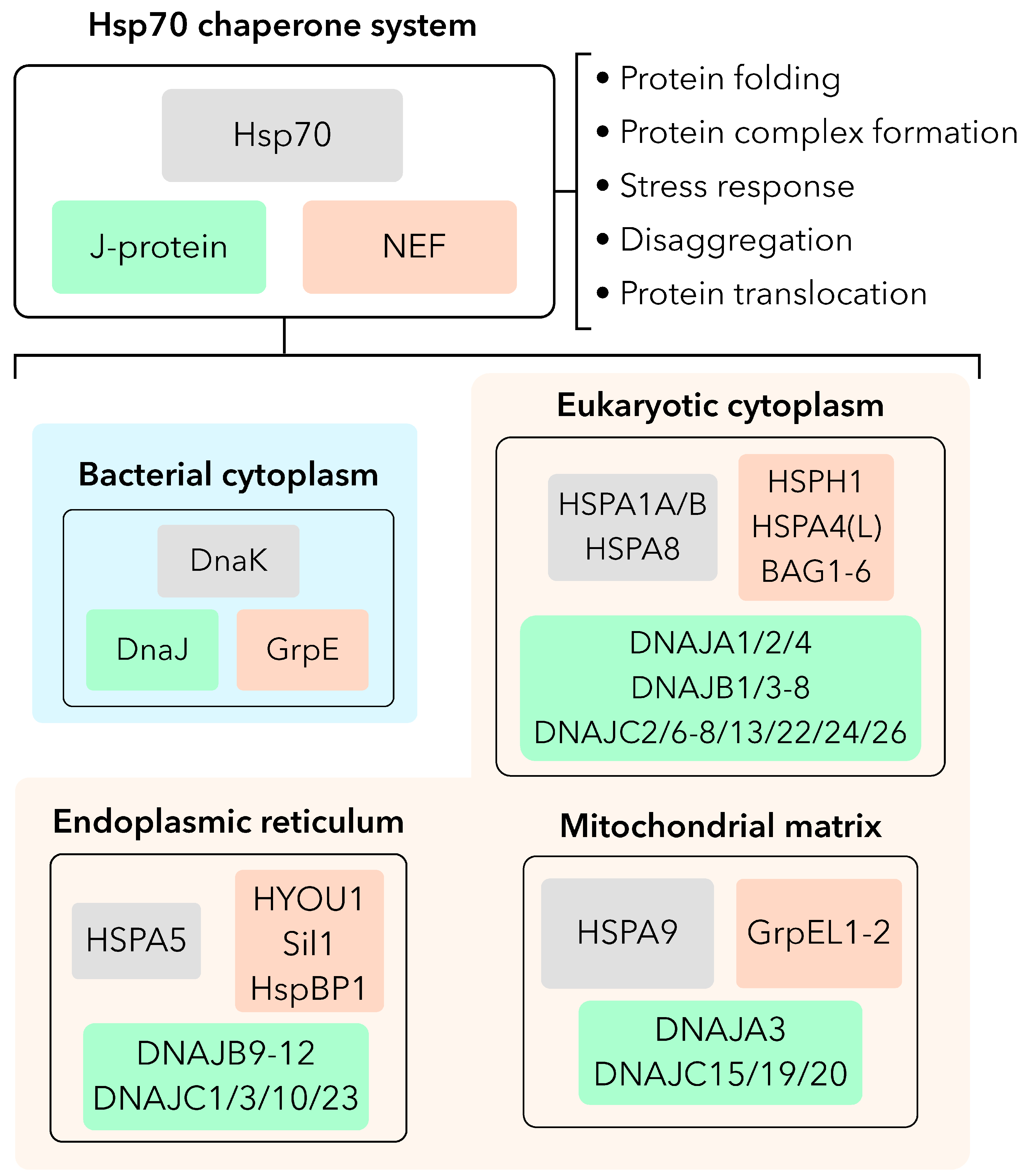 Preprints 174202 g001