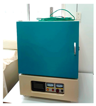 Preprints 191324 i005