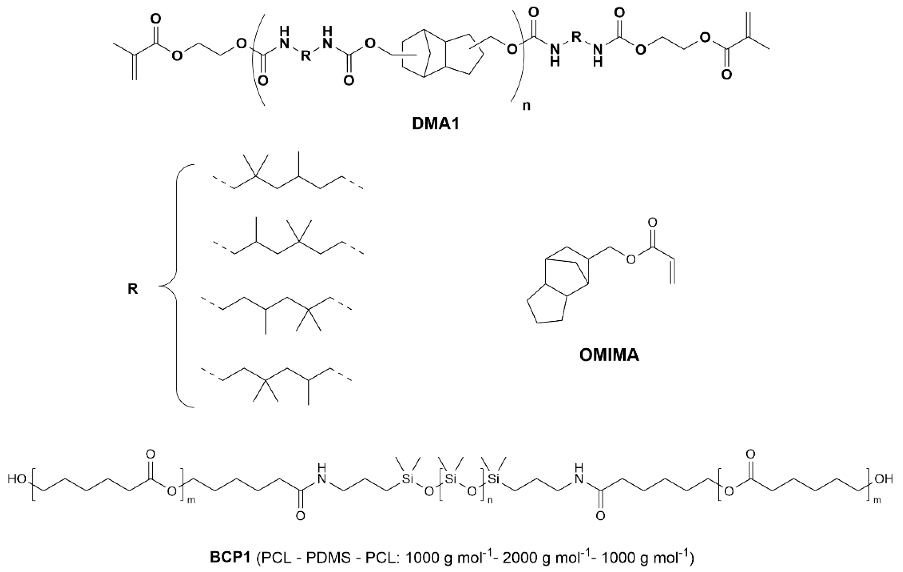 Preprints 216406 g001