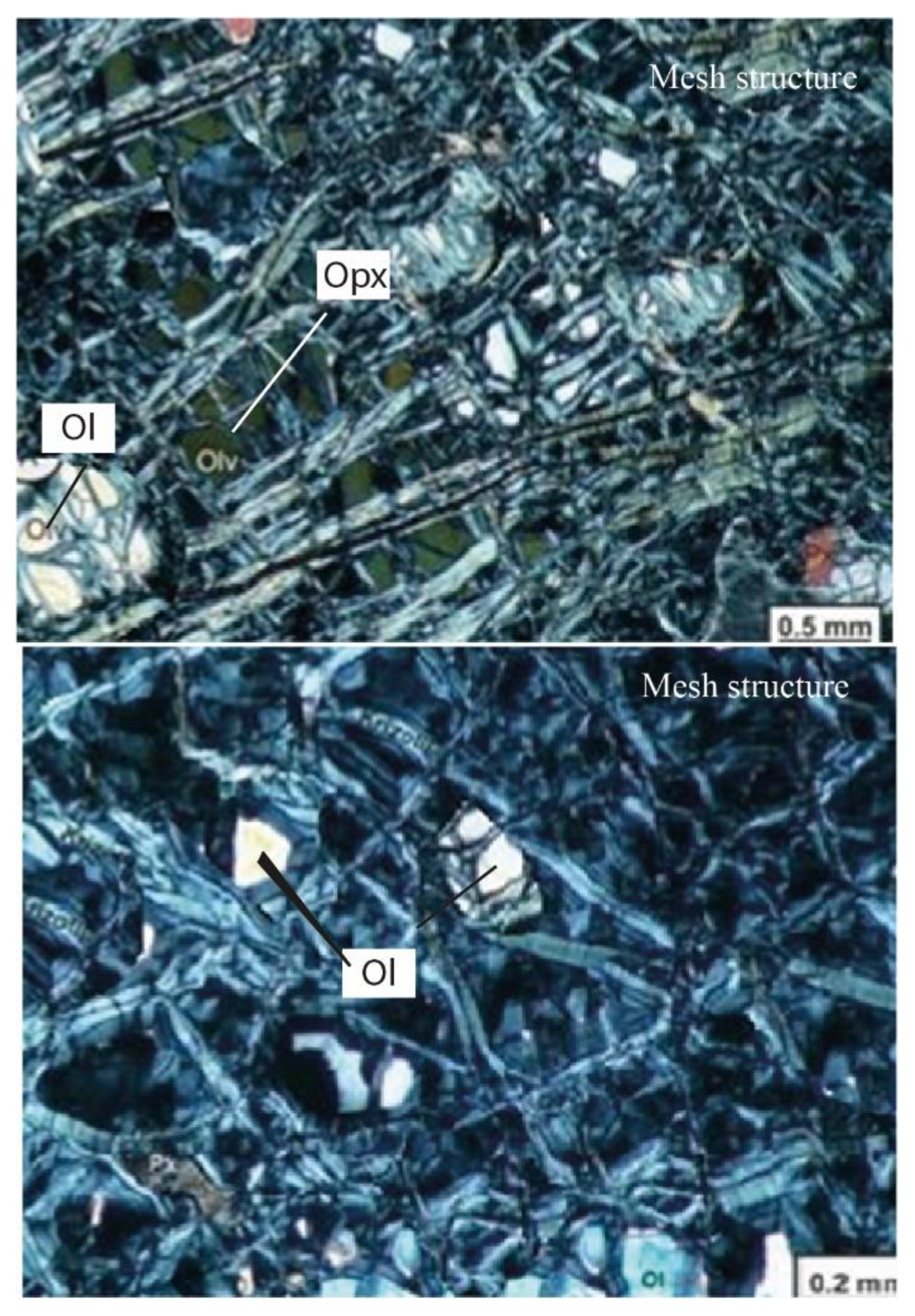 Preprints 119184 g003
