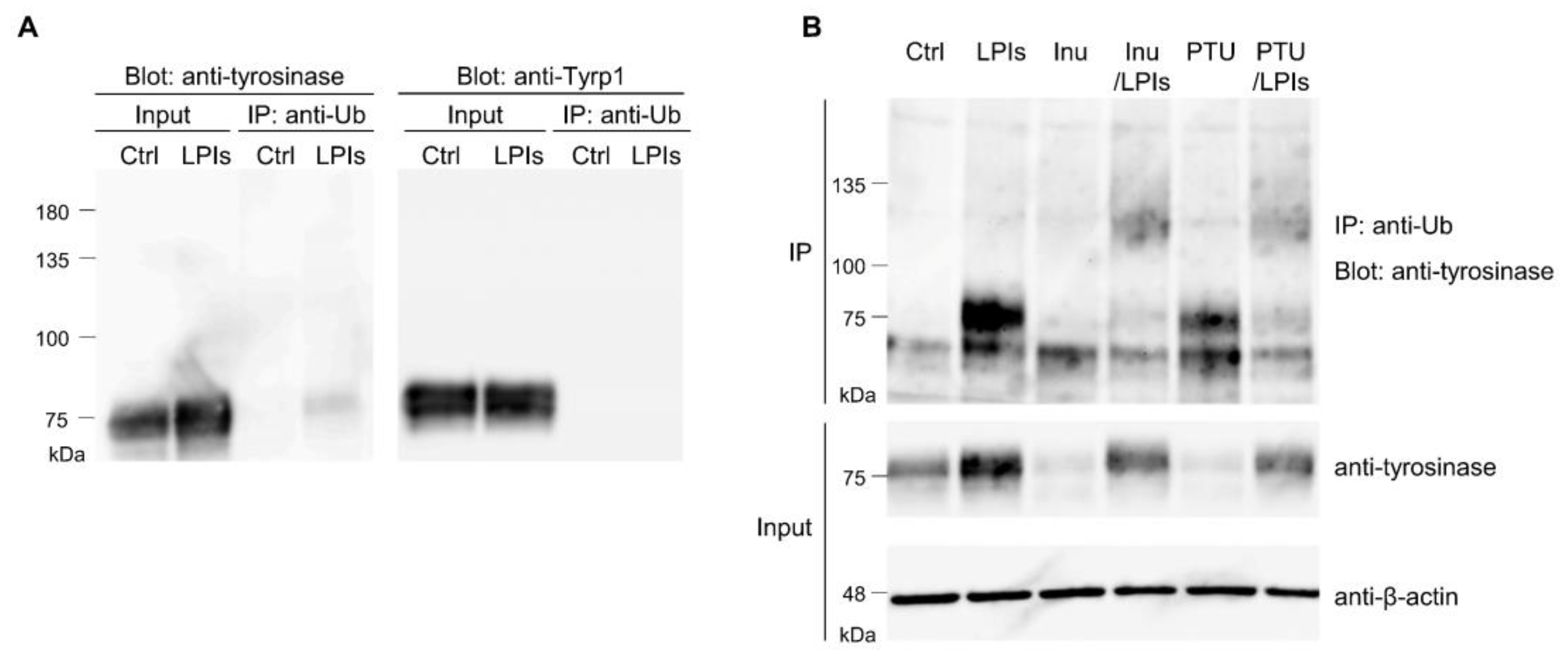 Preprints 92453 g001