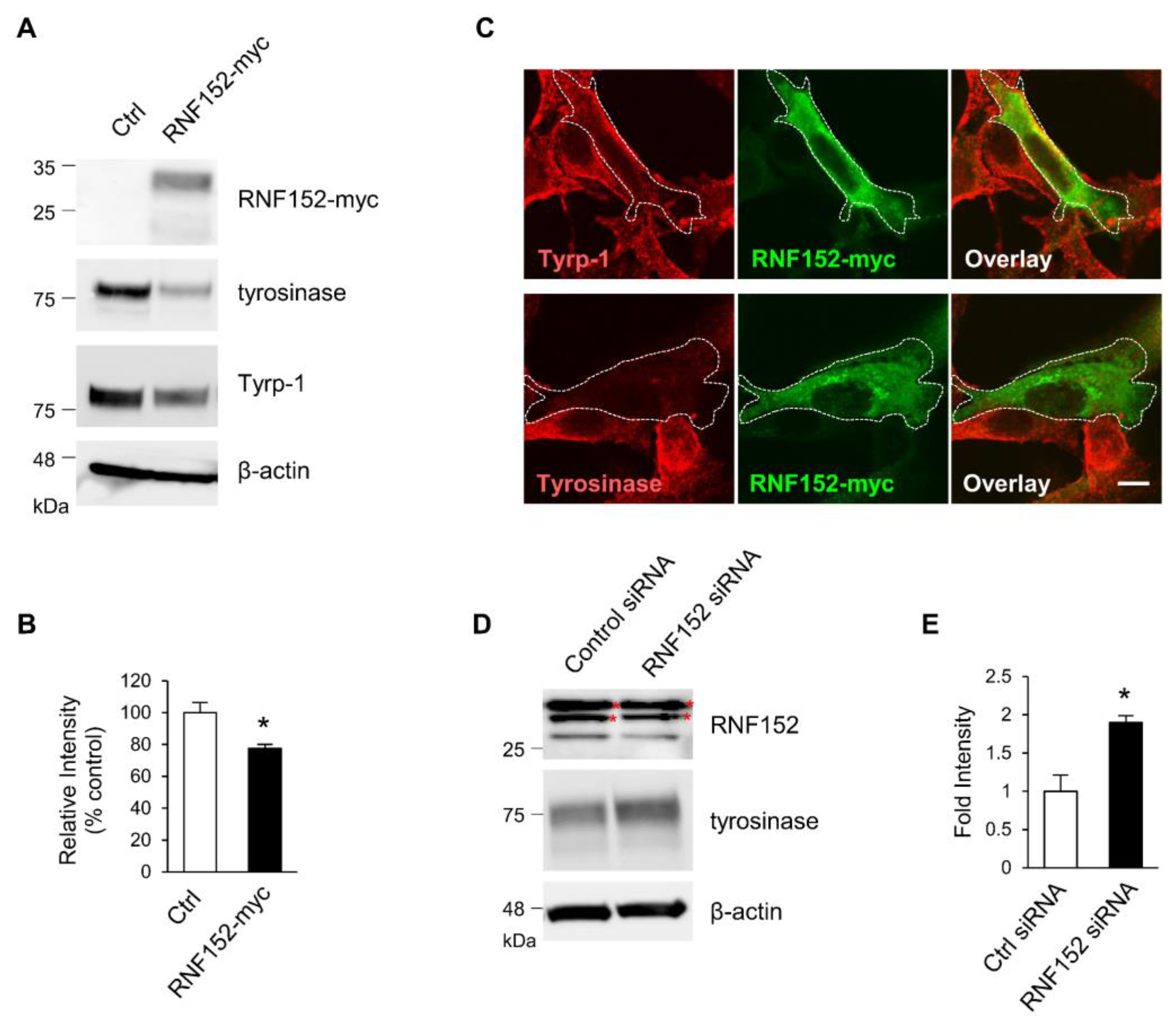 Preprints 92453 g002