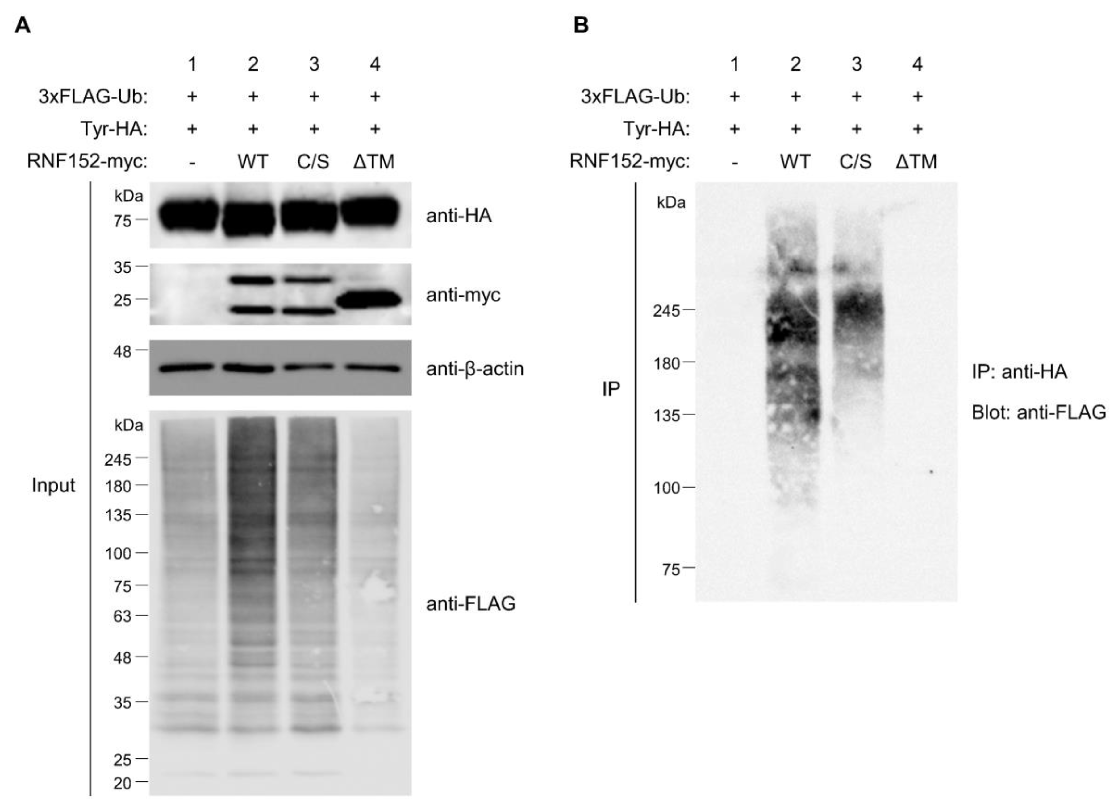 Preprints 92453 g005
