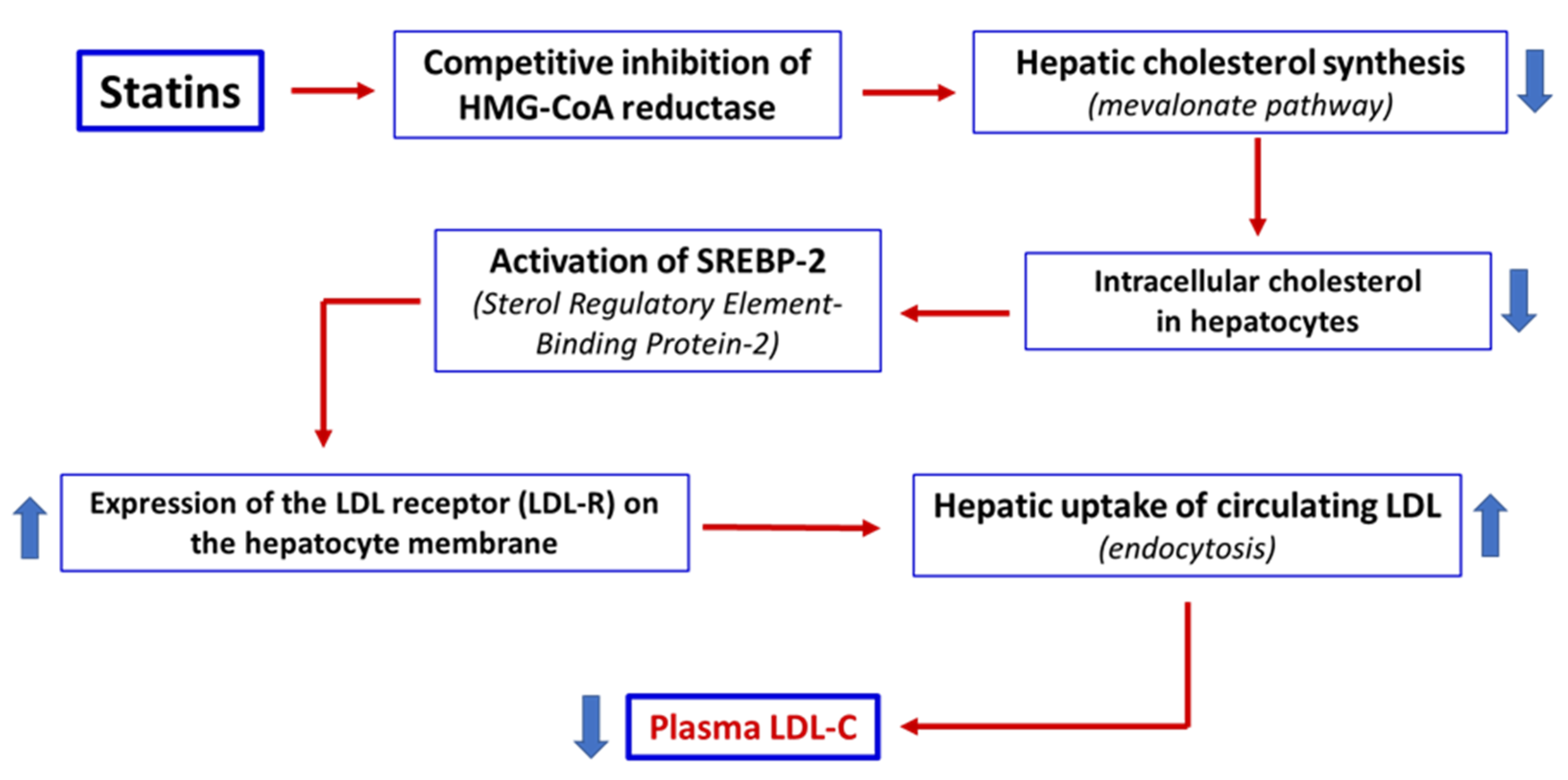 Preprints 193468 g001