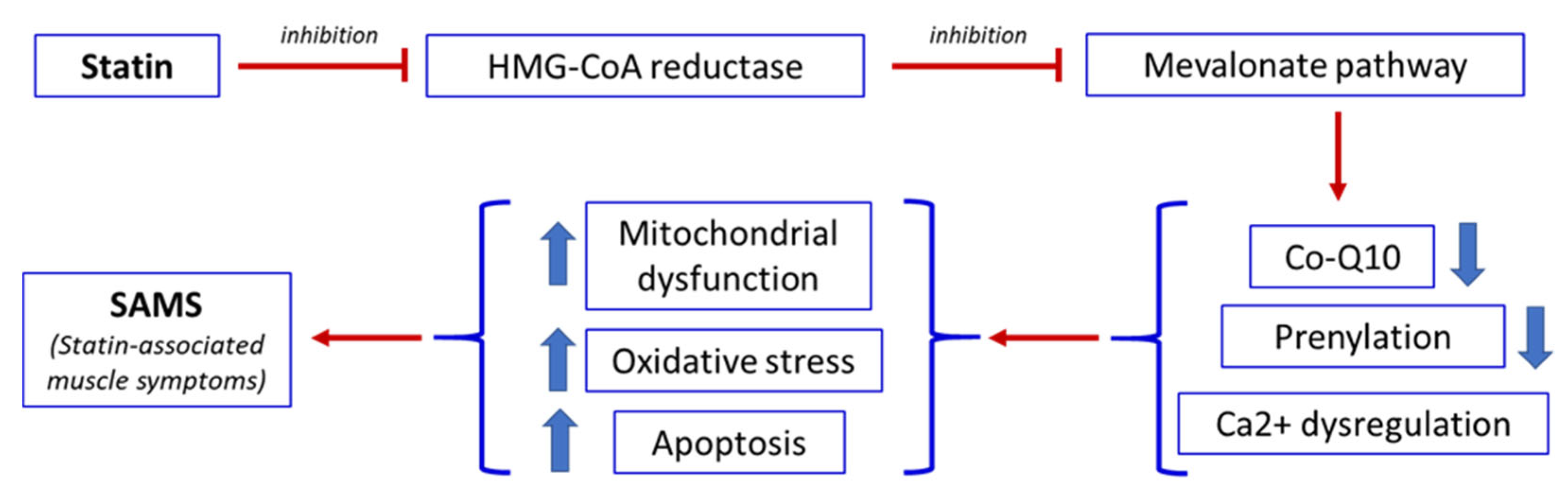 Preprints 193468 g002