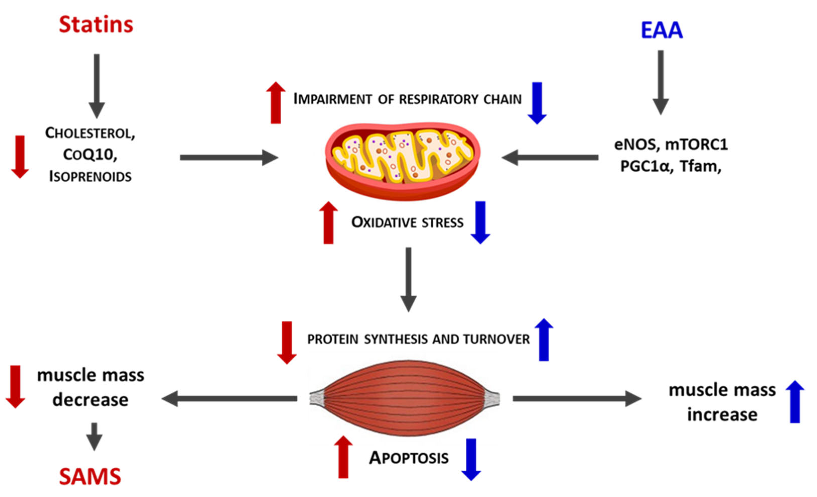 Preprints 193468 g003