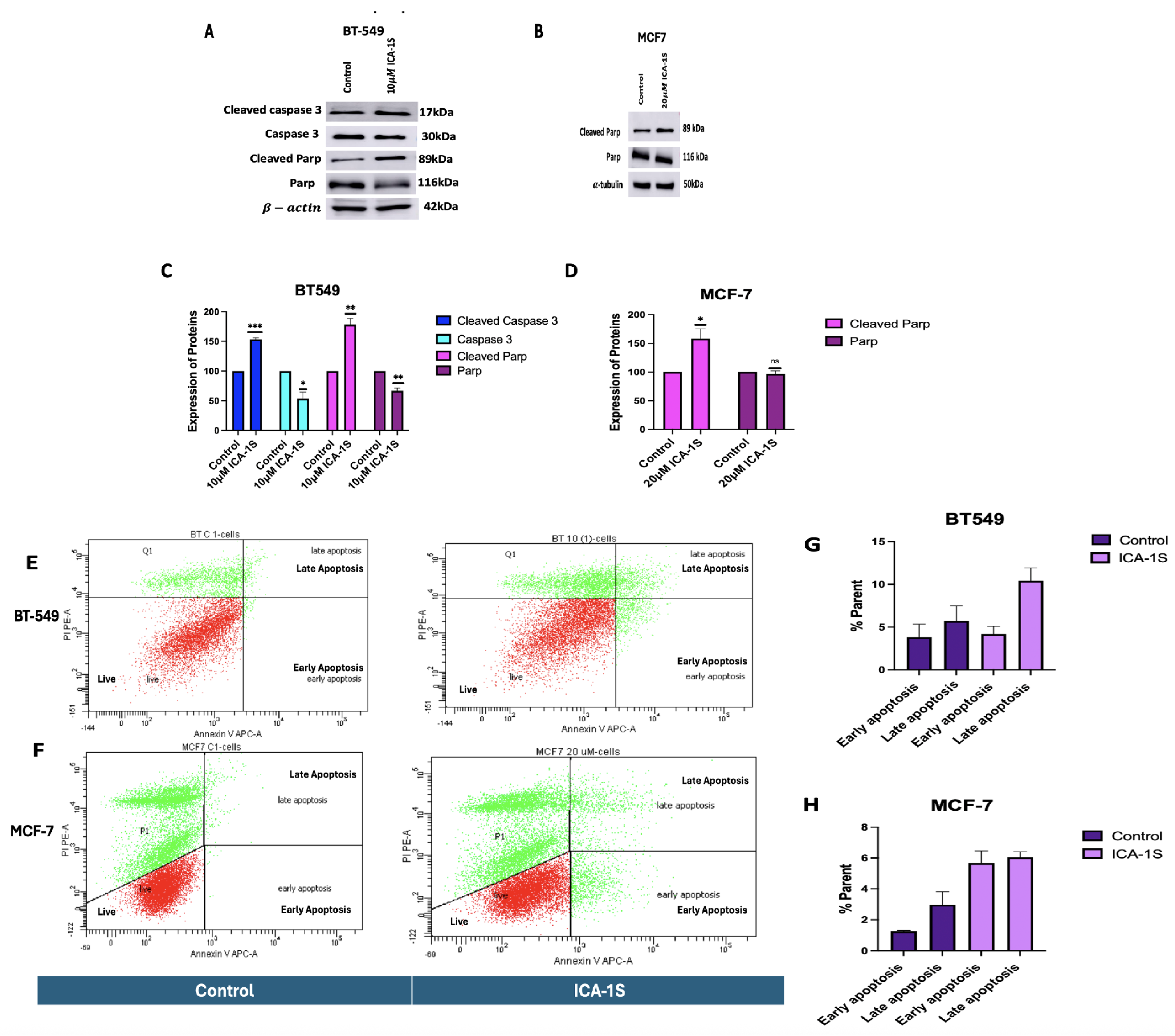 Preprints 163822 g002