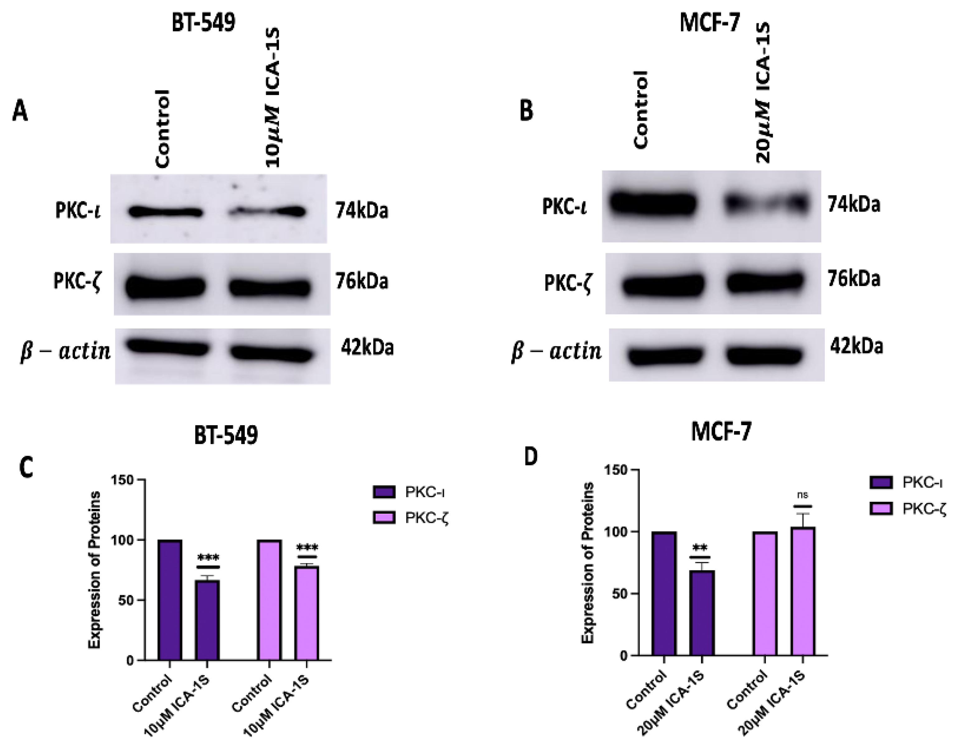 Preprints 163822 g003