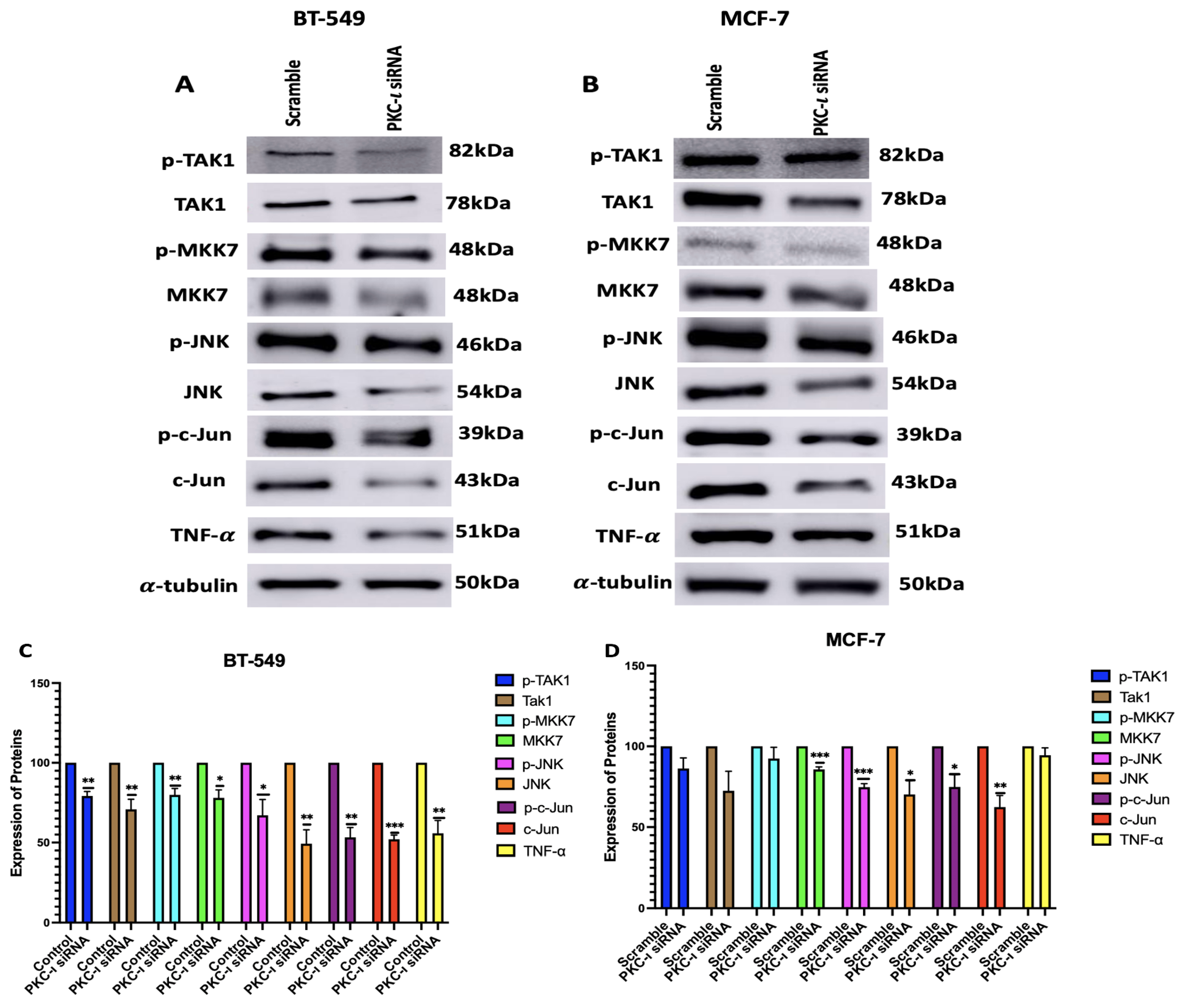 Preprints 163822 g006