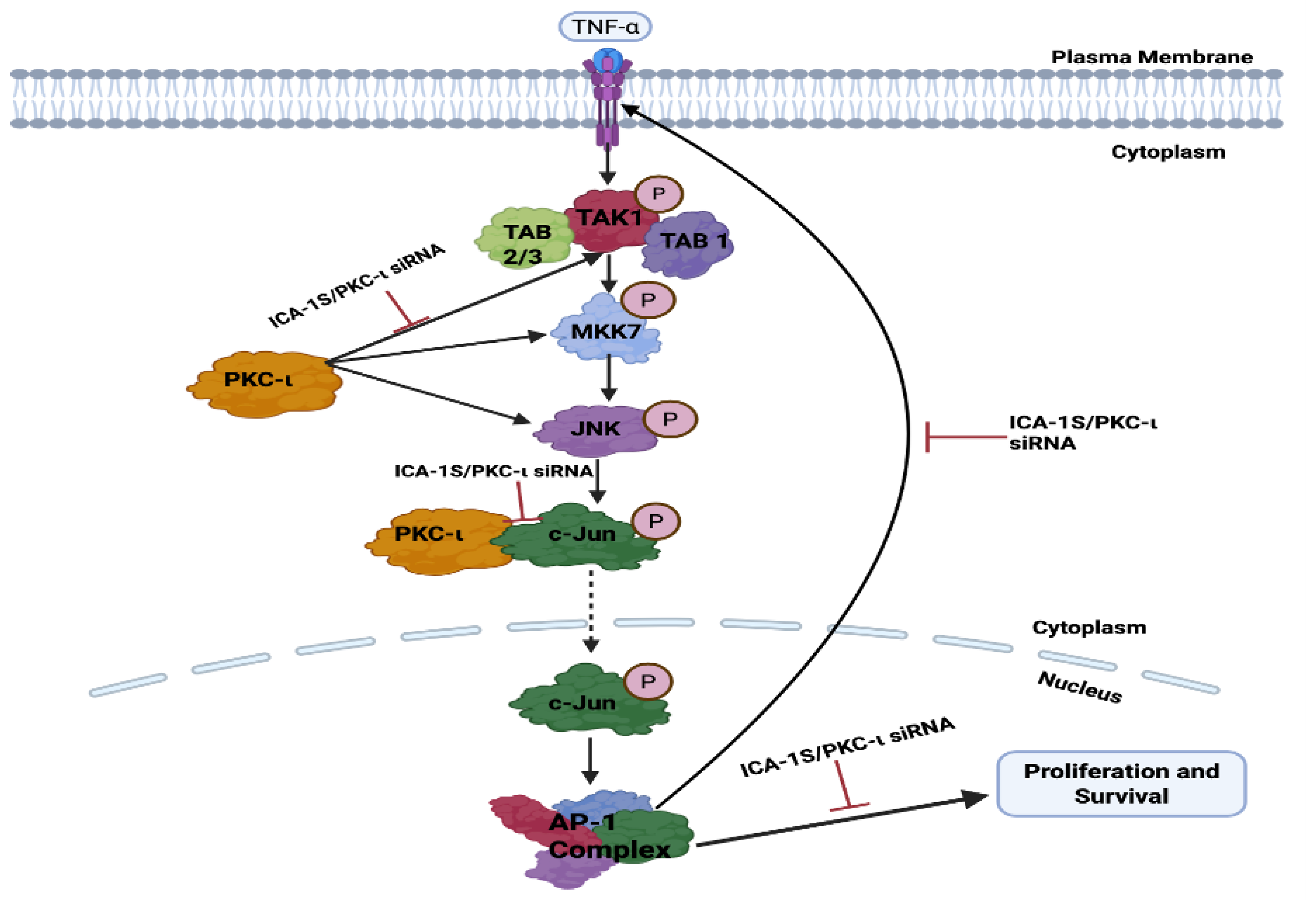 Preprints 163822 g010