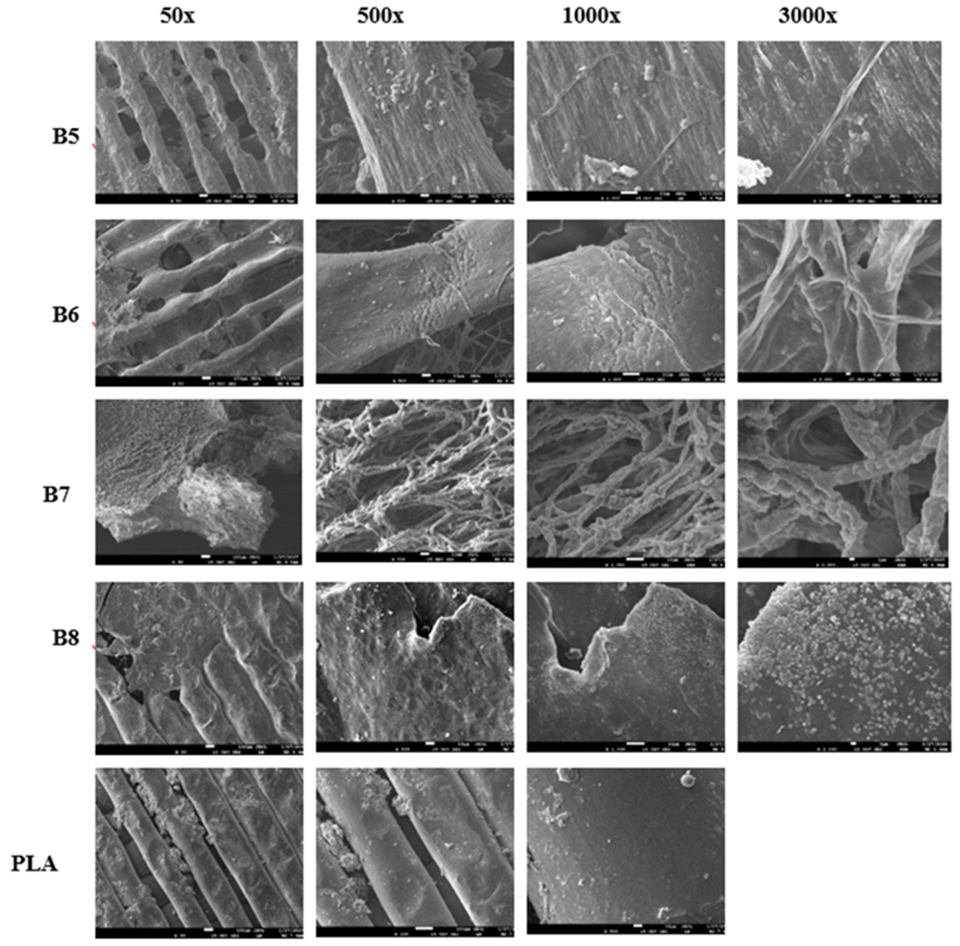 Preprints 157560 g015