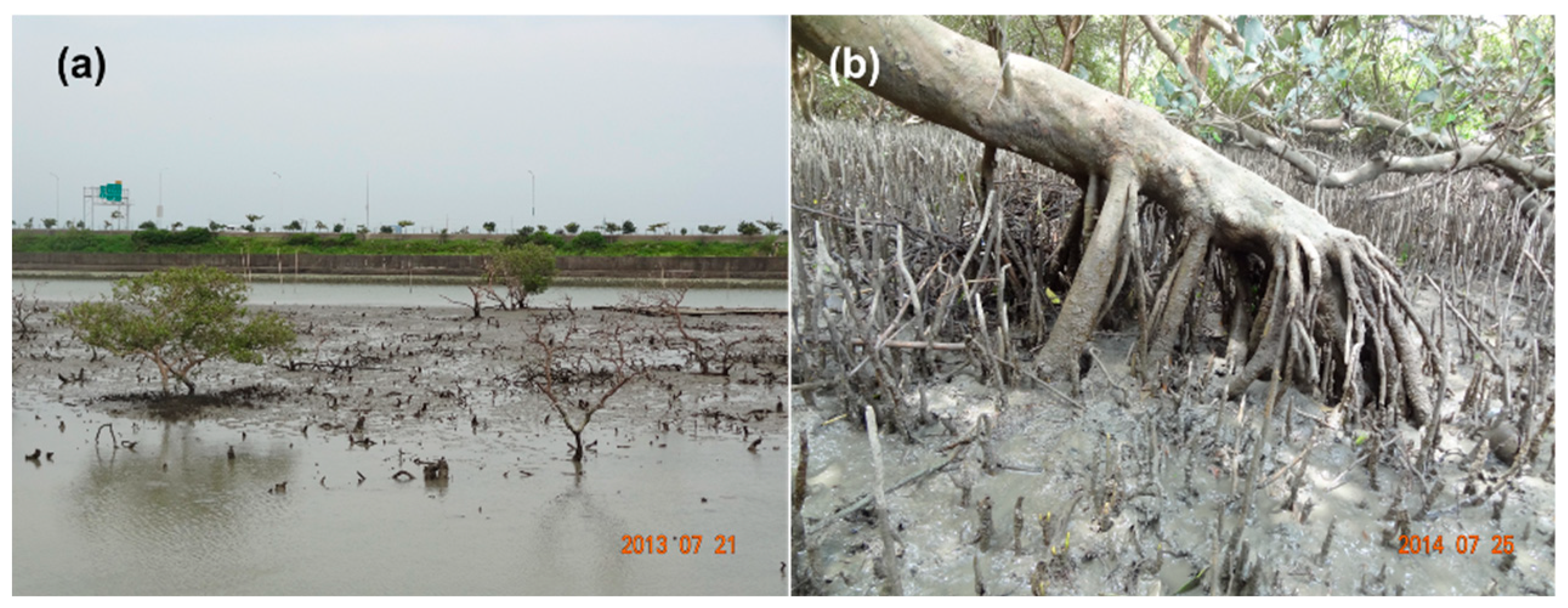 Preprints 192616 g001