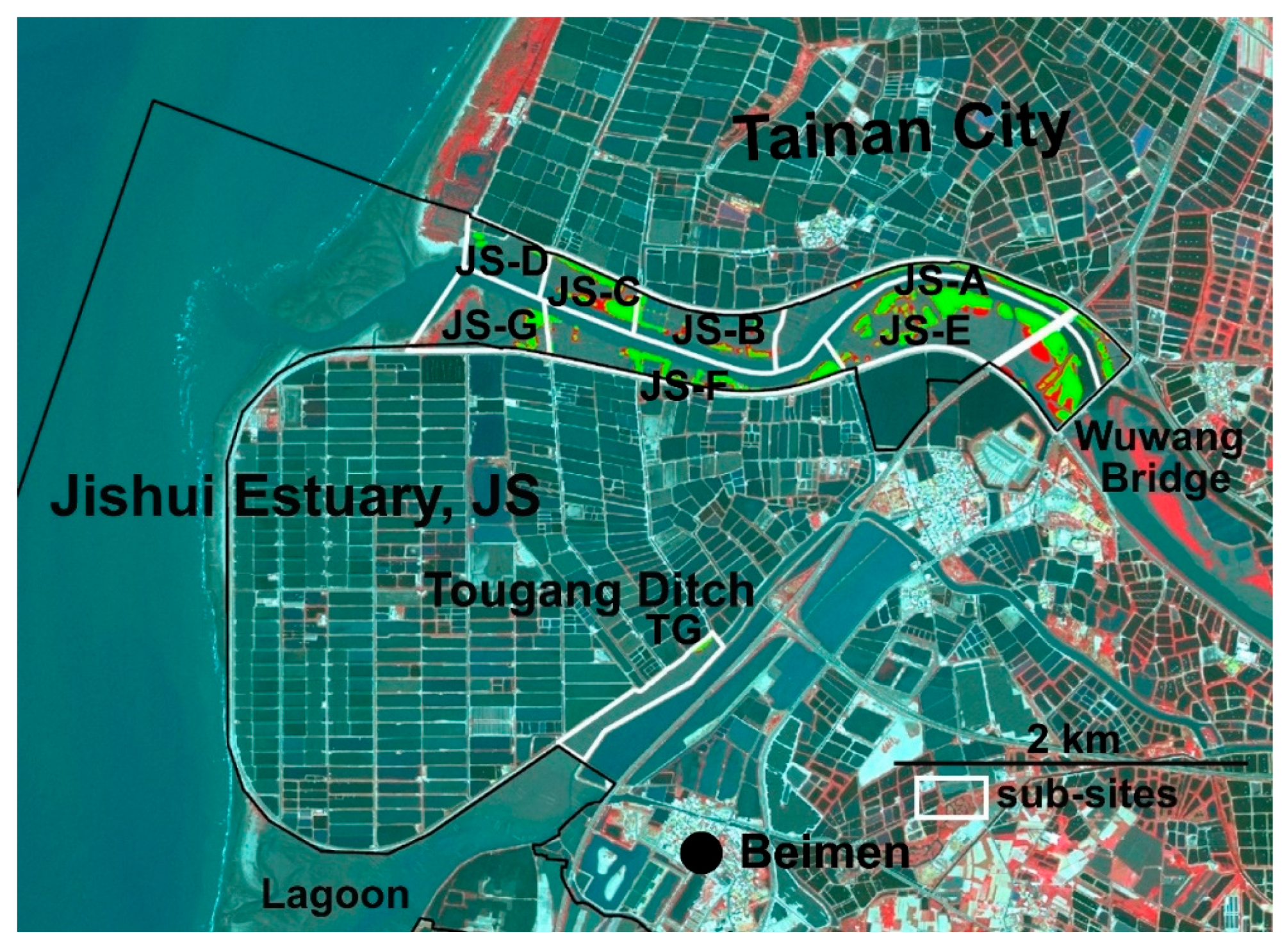 Preprints 192616 g003
