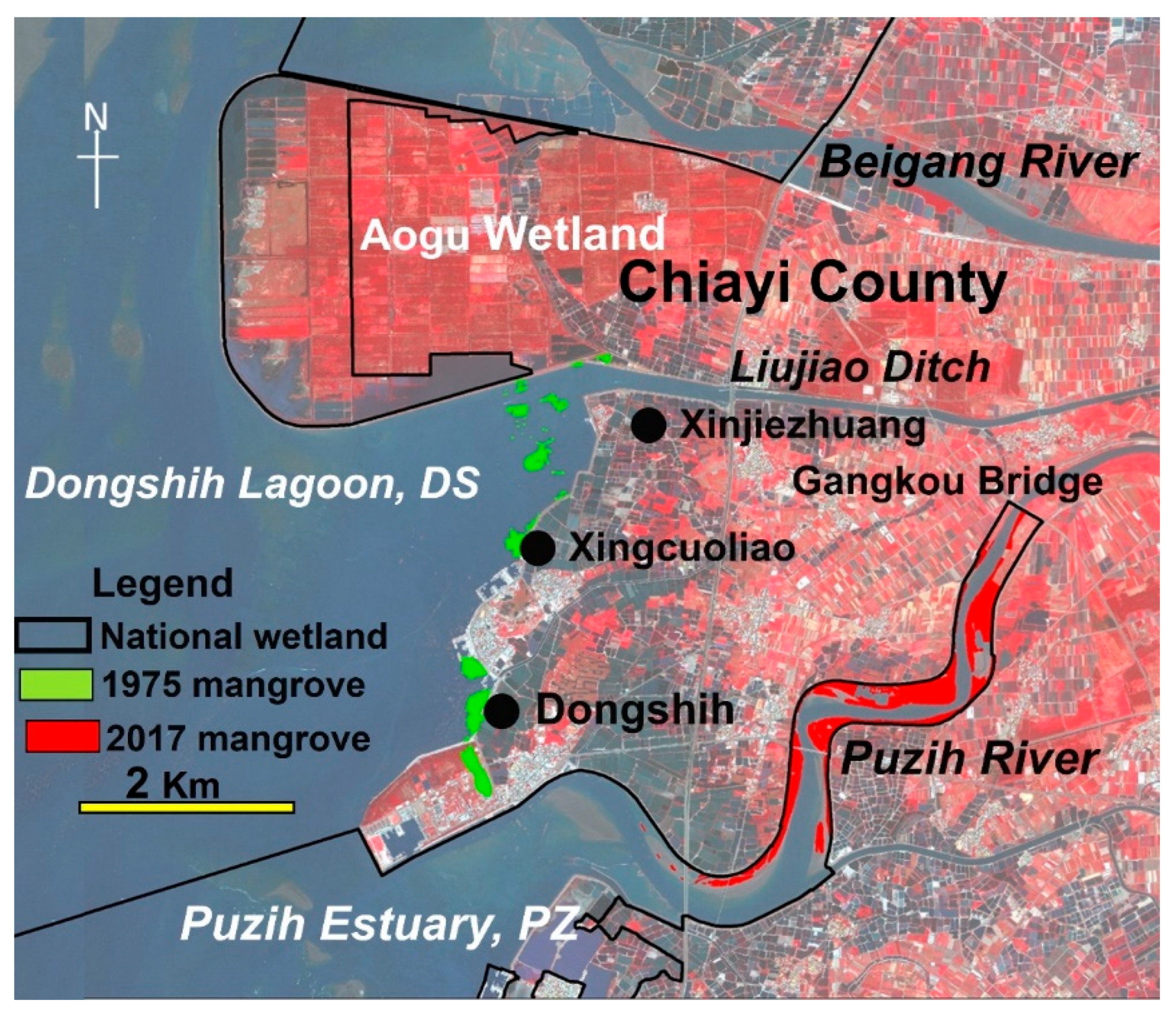 Preprints 192616 g010