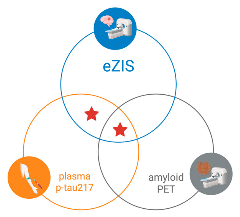 Preprints 218653 g001 Preprints 218653 g001