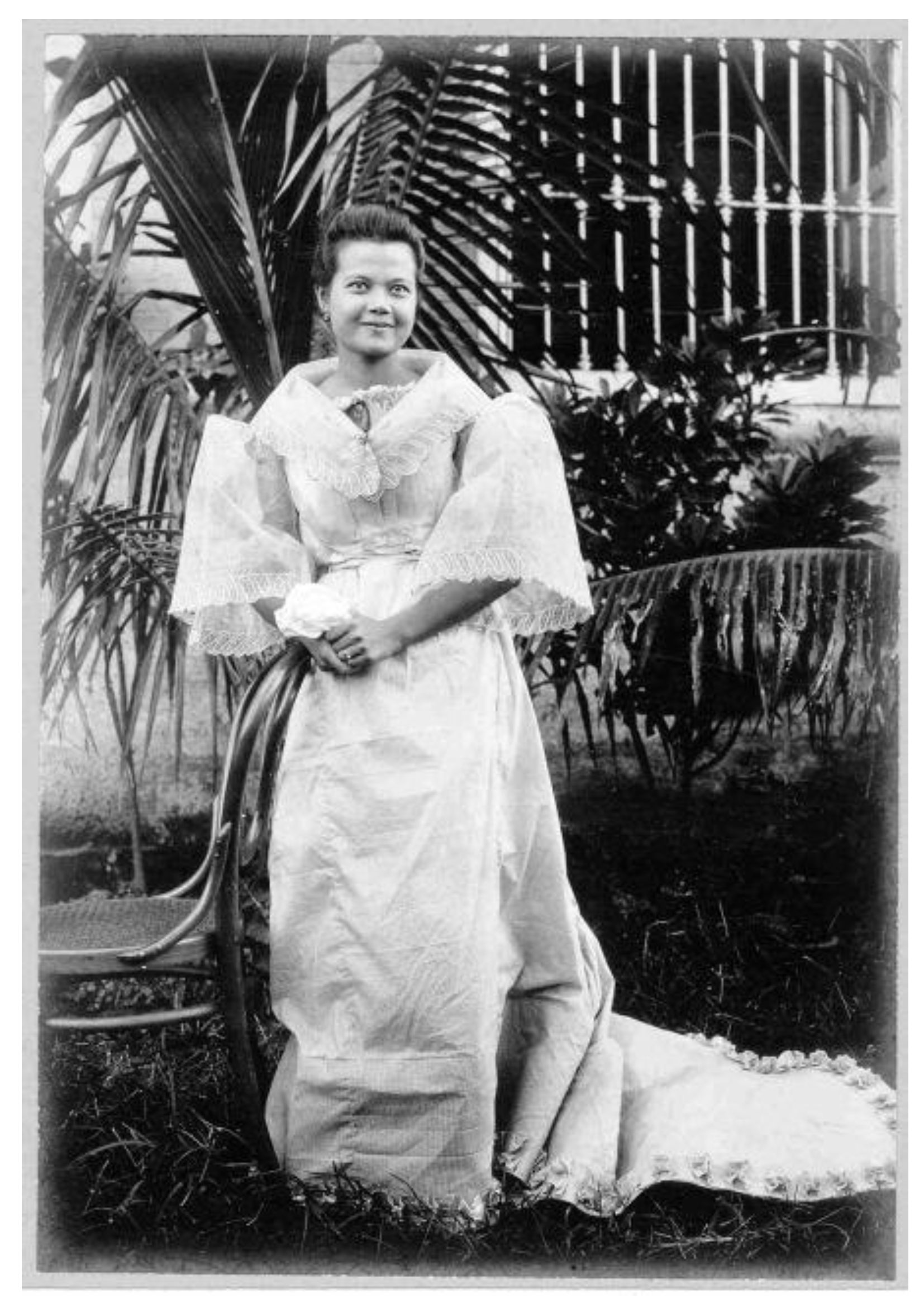 Preprints 153036 g002