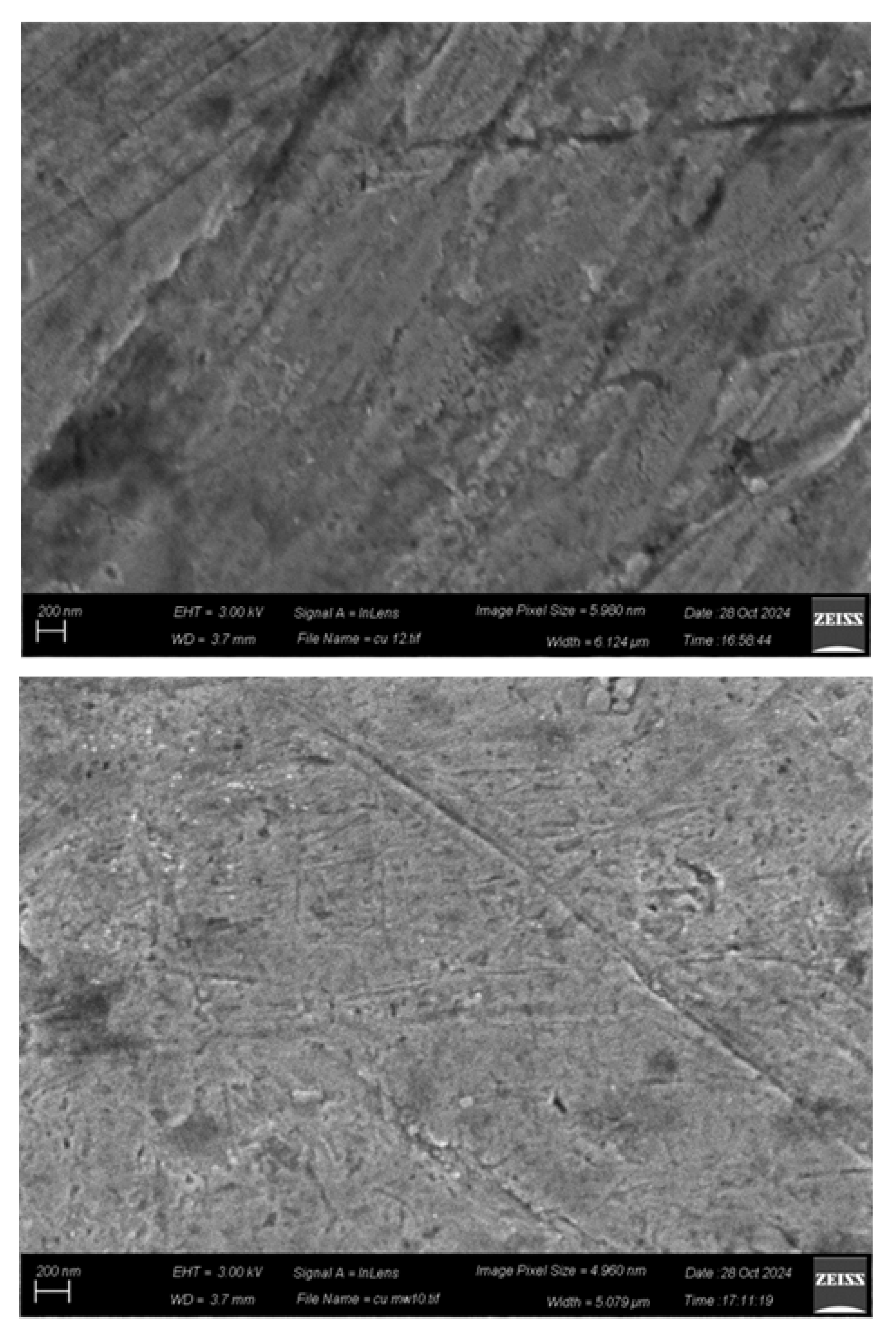 Preprints 151007 g007