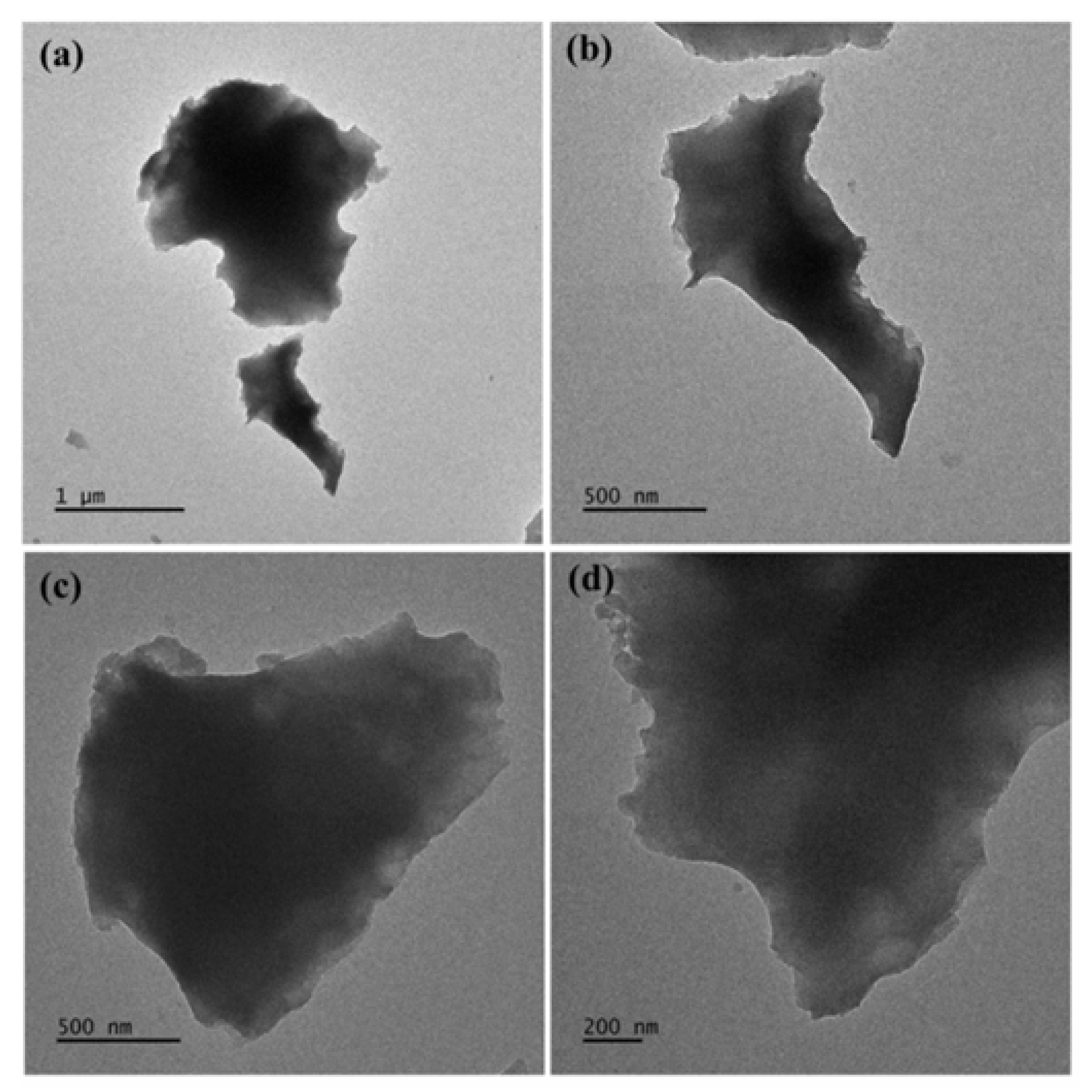 Preprints 151007 g009