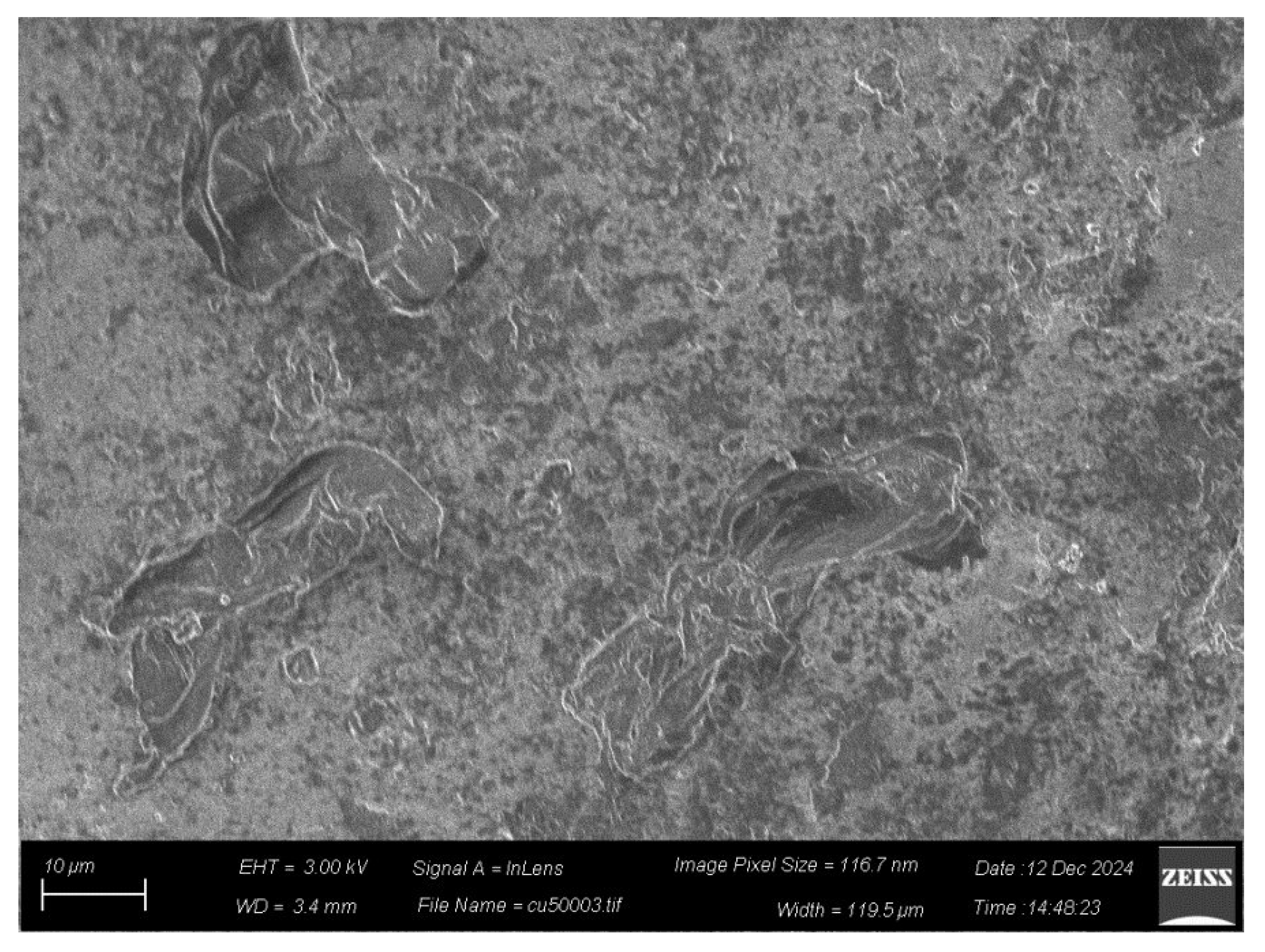 Preprints 151007 g014