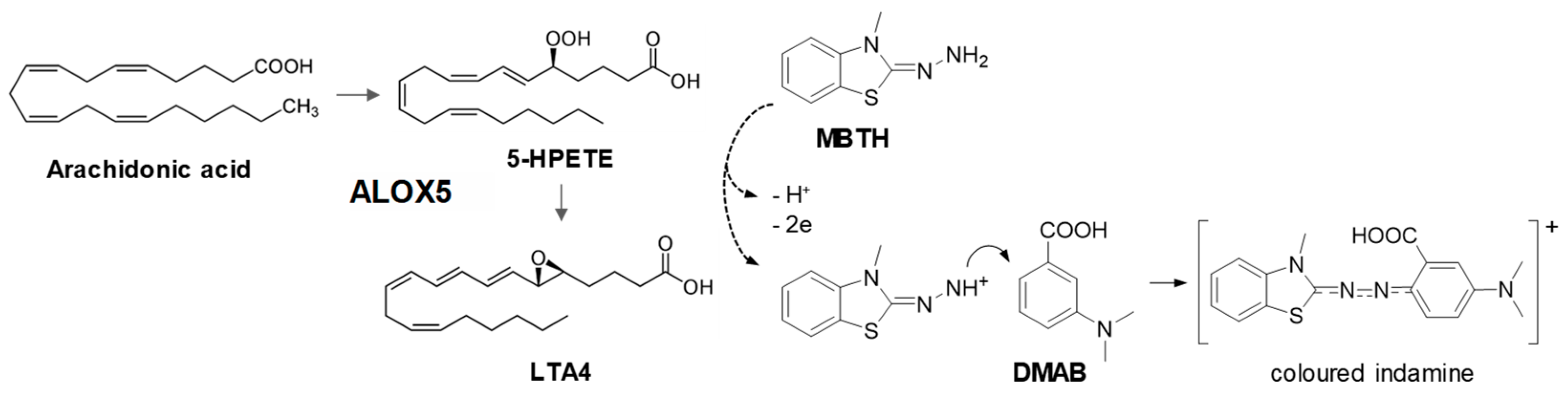 Preprints 201848 g001