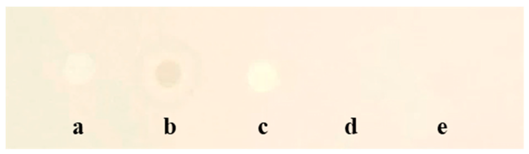 Preprints 201848 g002