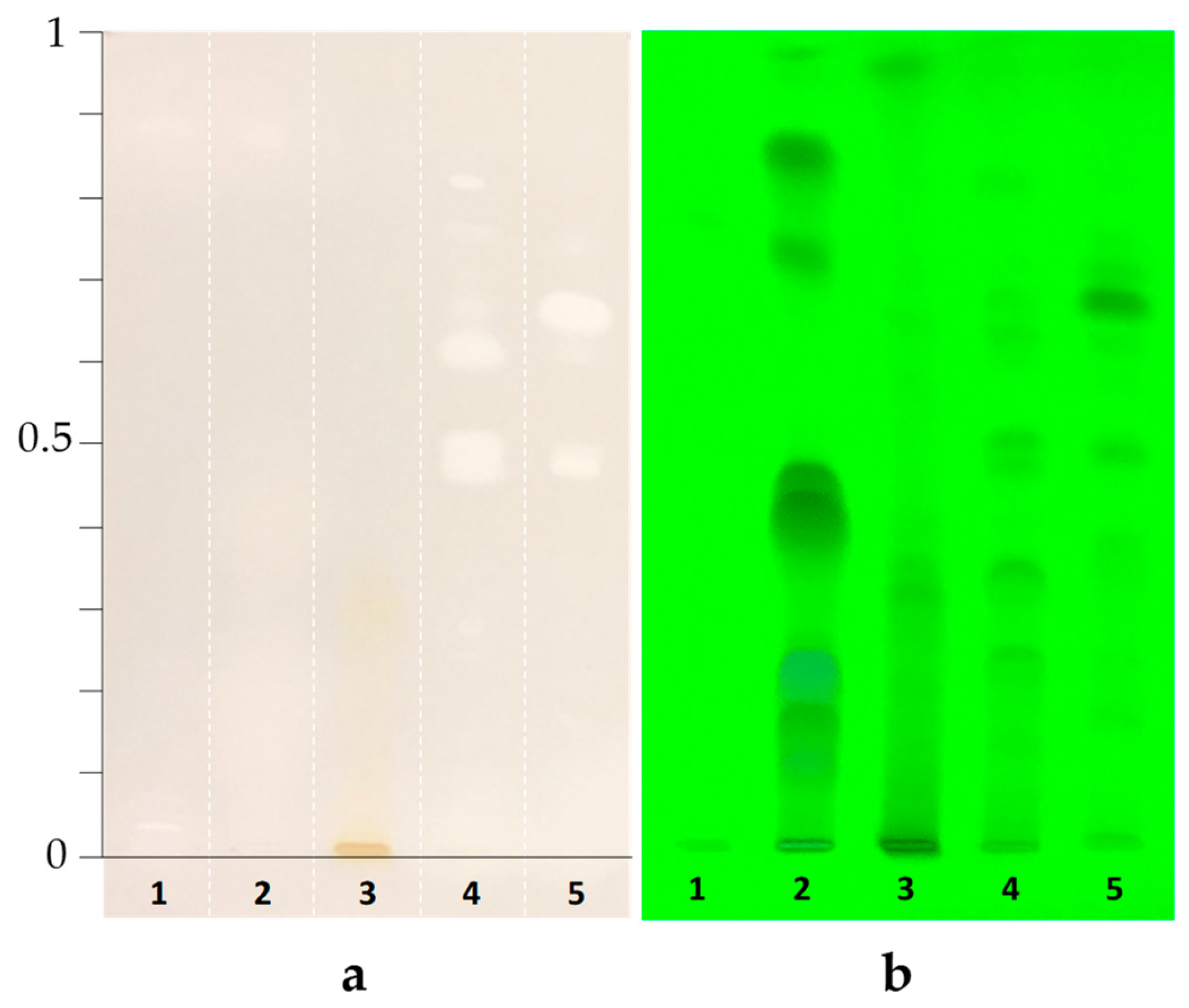 Preprints 201848 g003