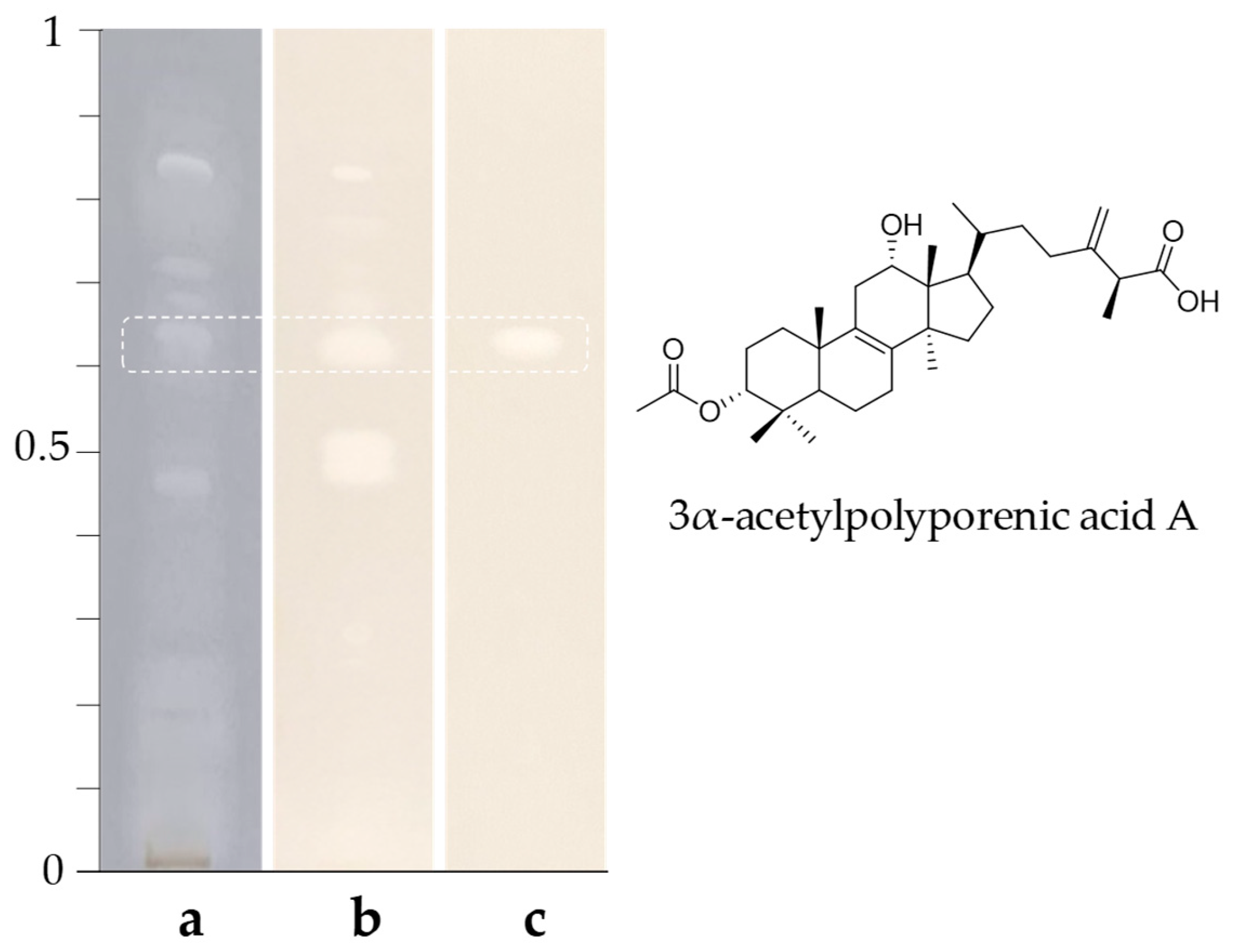 Preprints 201848 g004