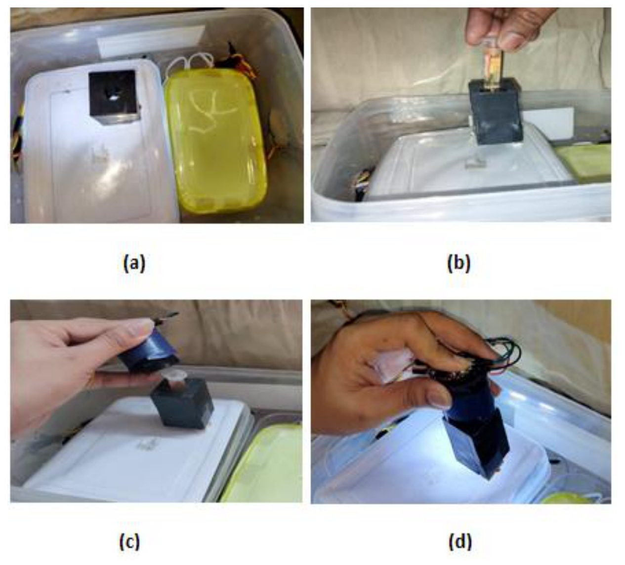 Preprints 226010 g004 Preprints 226010 g004