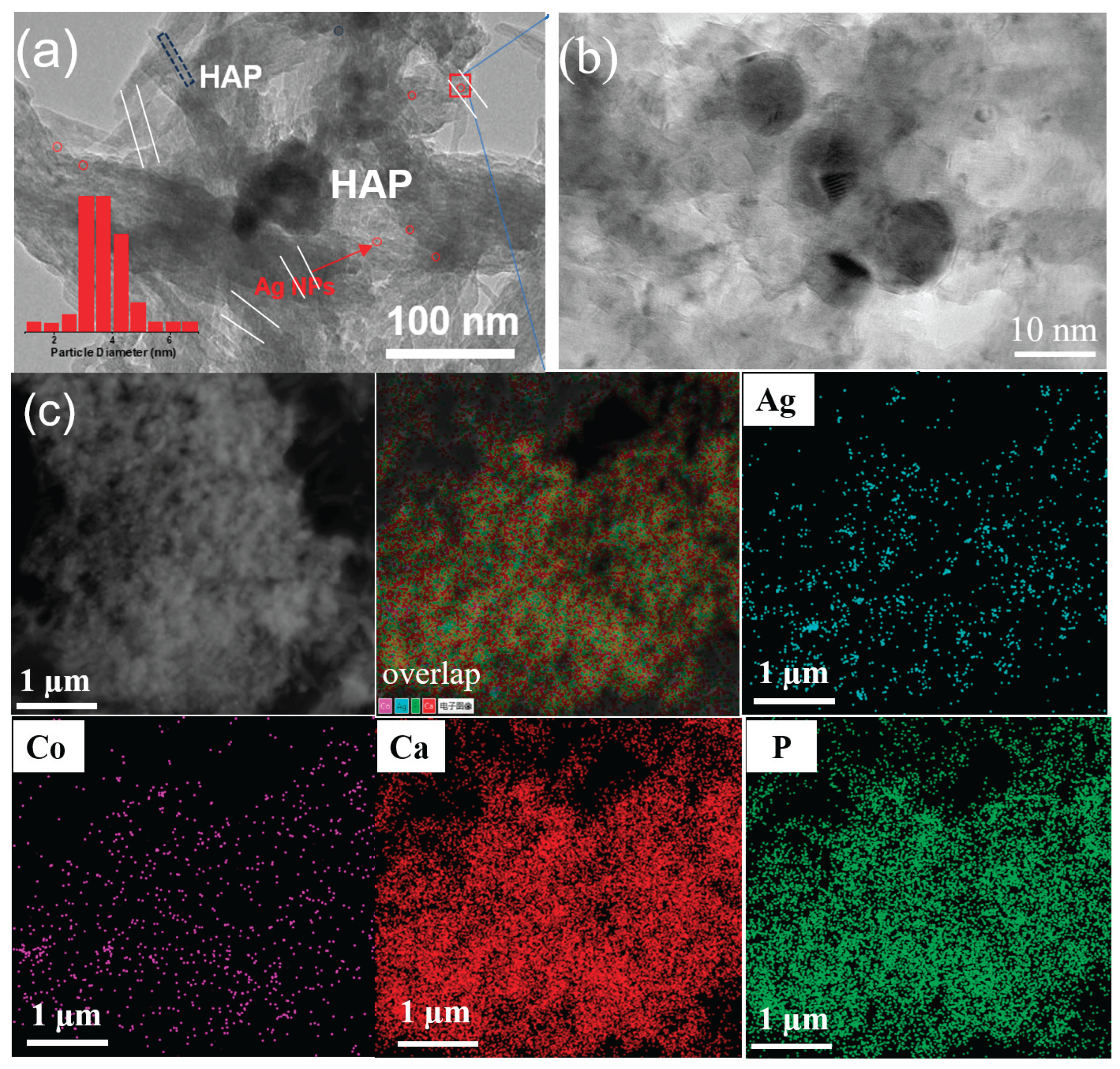 Preprints 178965 g002