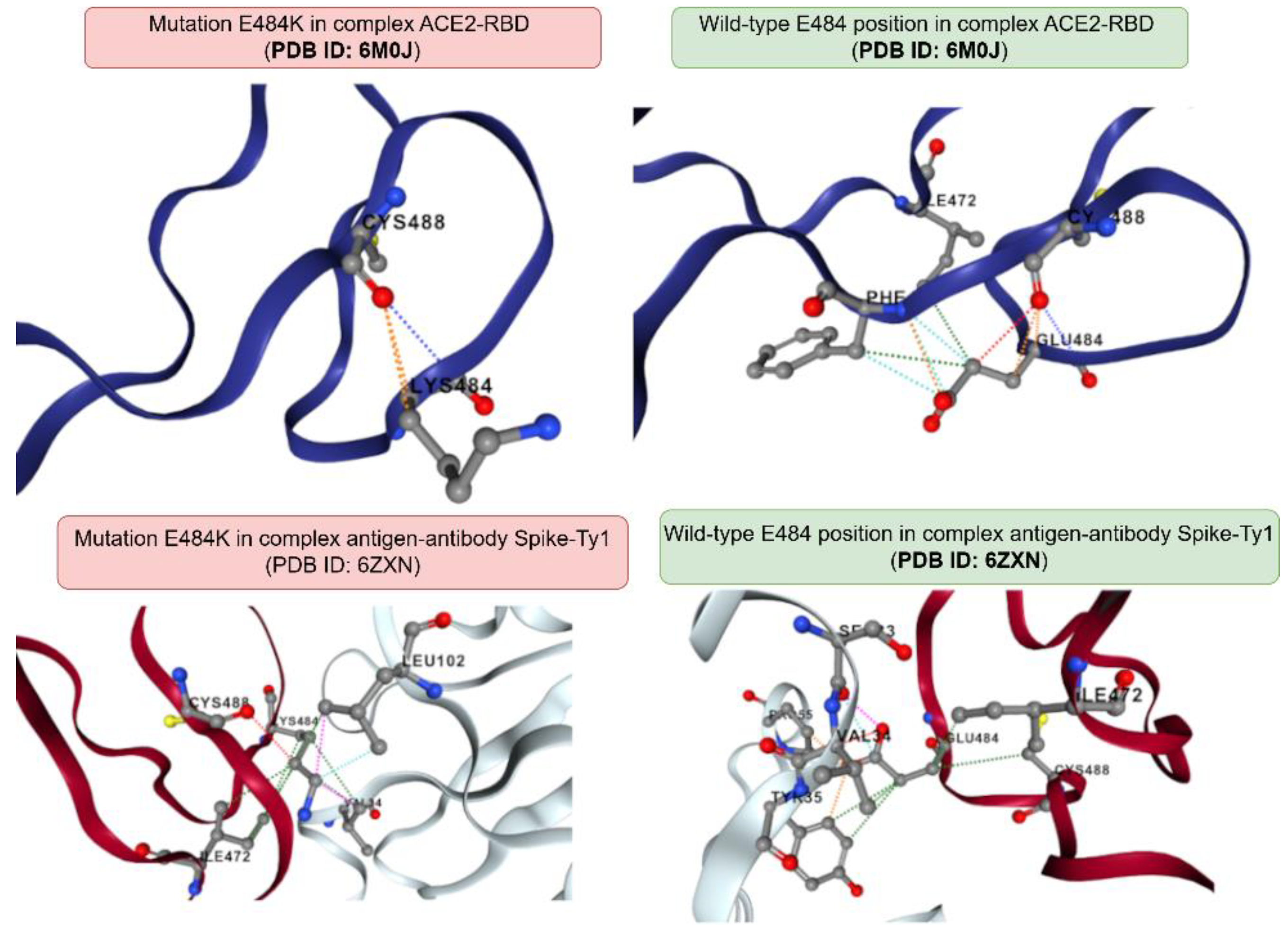 Preprints 162850 g004