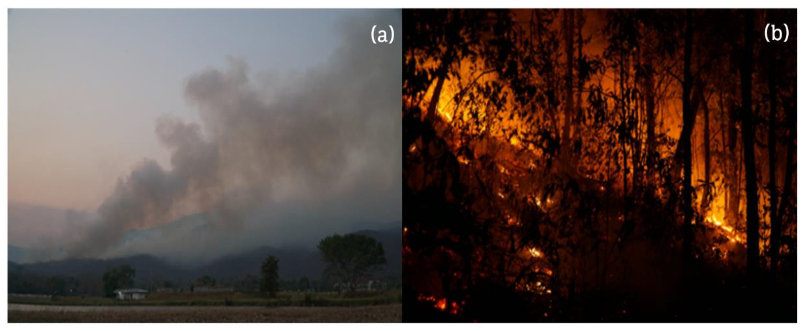 Preprints 191432 g003