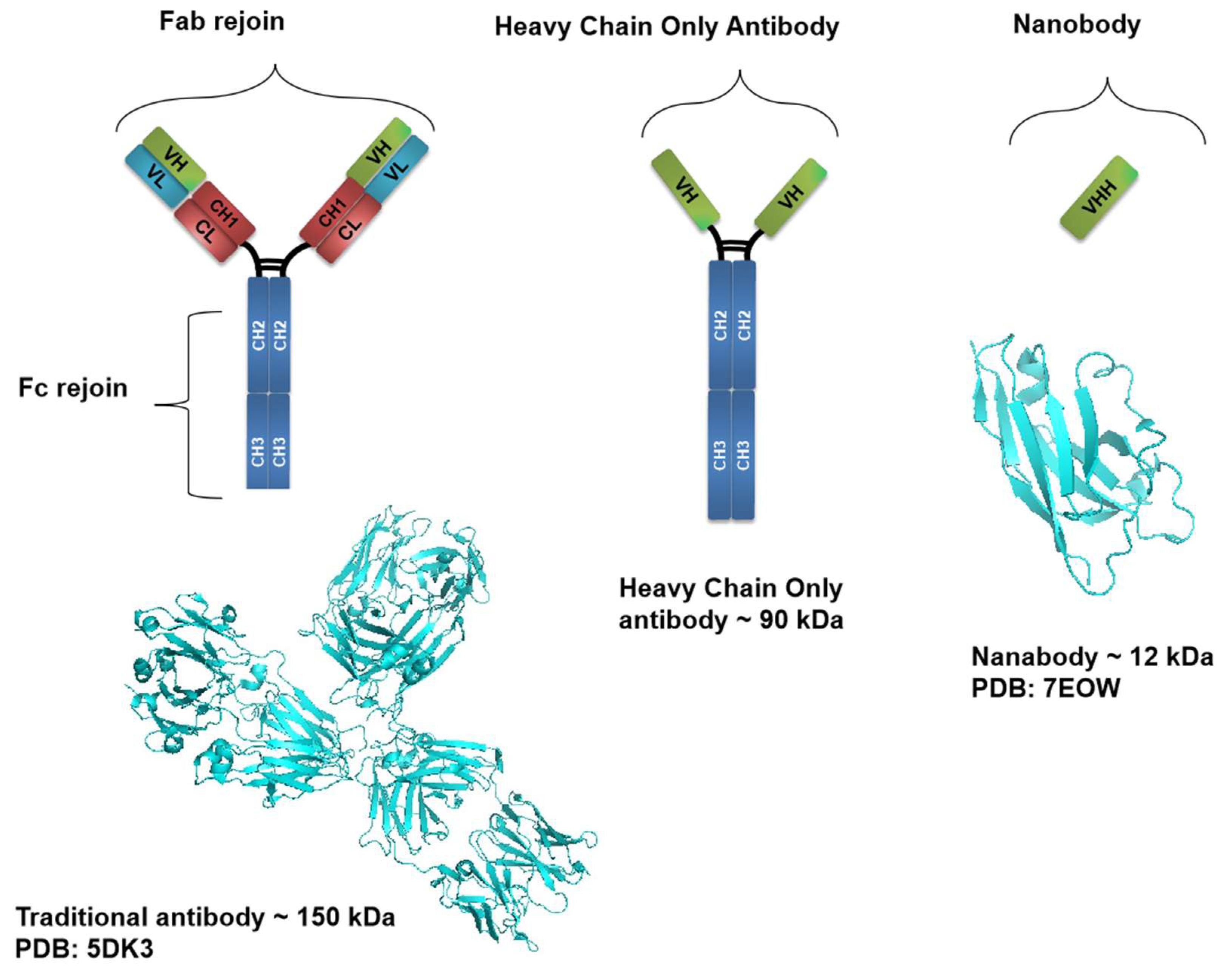 Preprints 141900 g001