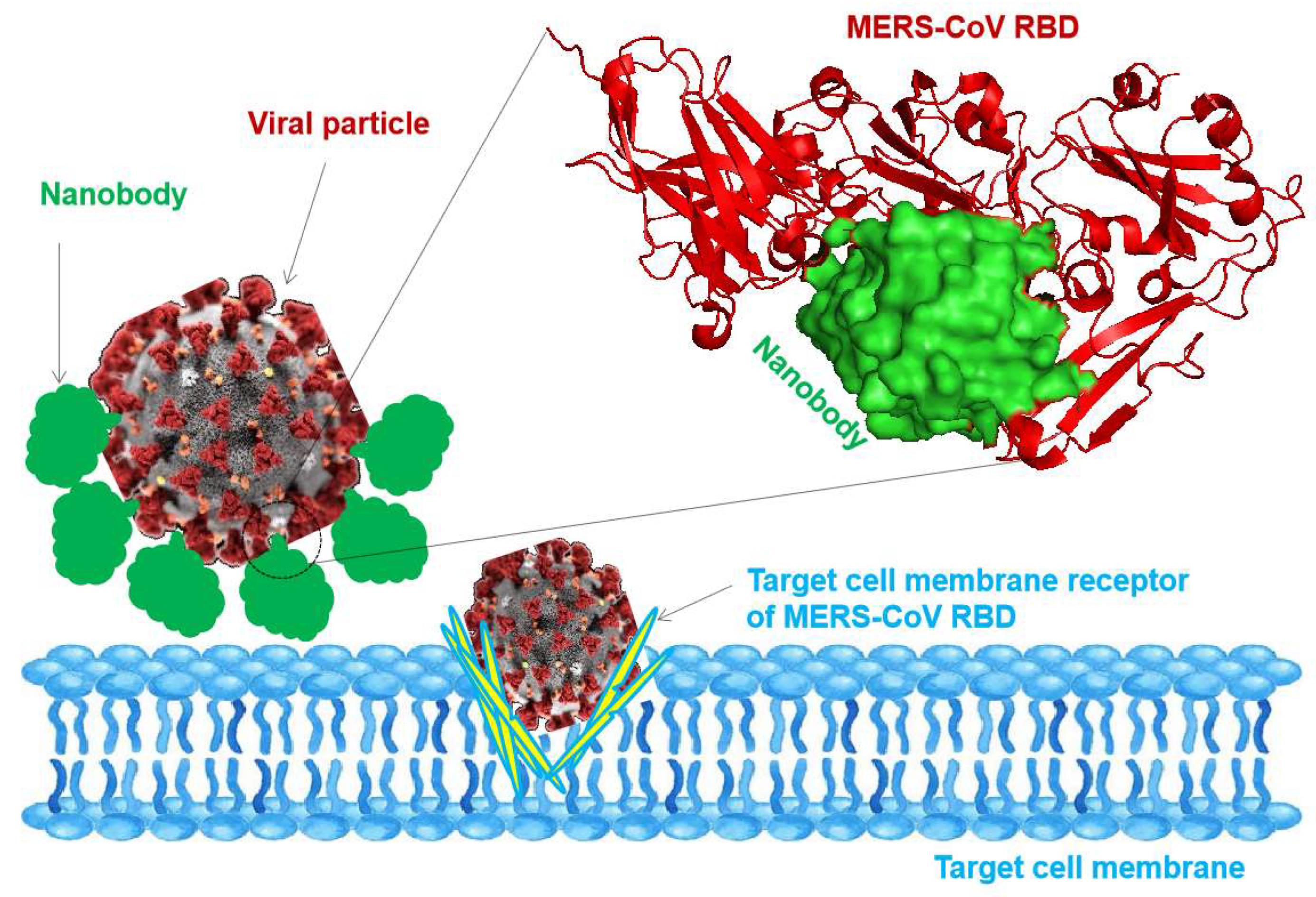 Preprints 141900 g002