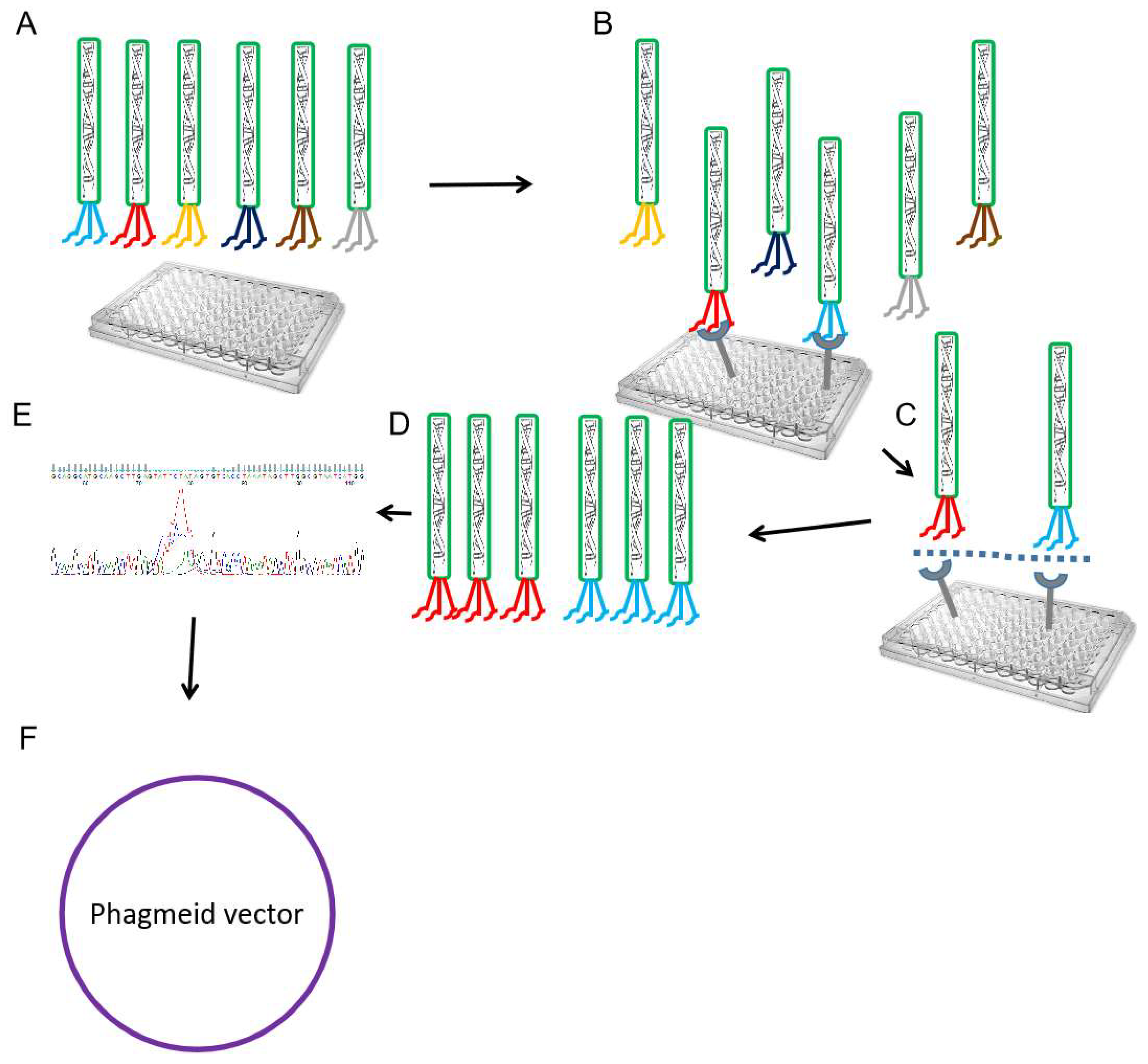 Preprints 141900 g003