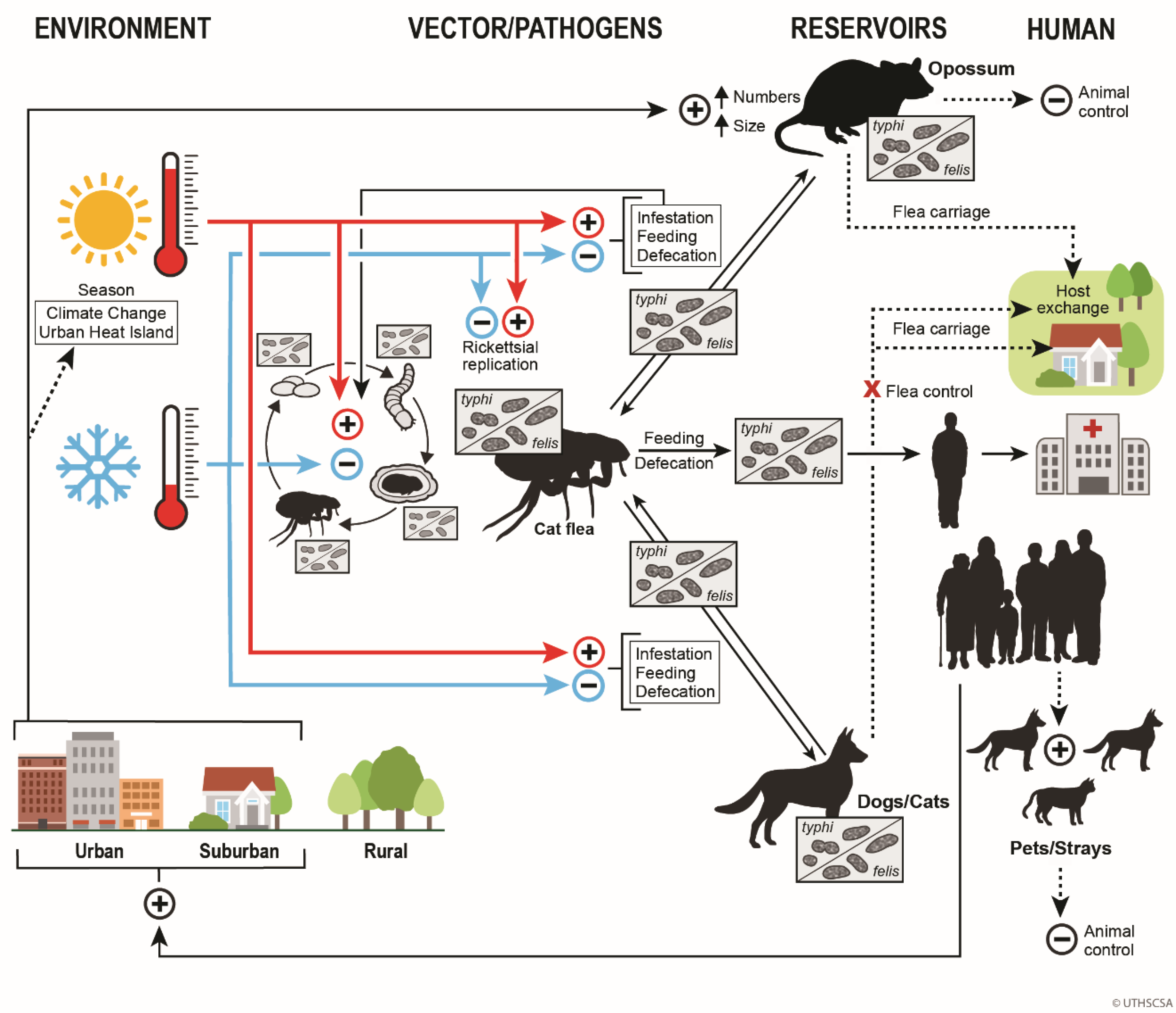 Preprints 140268 g008