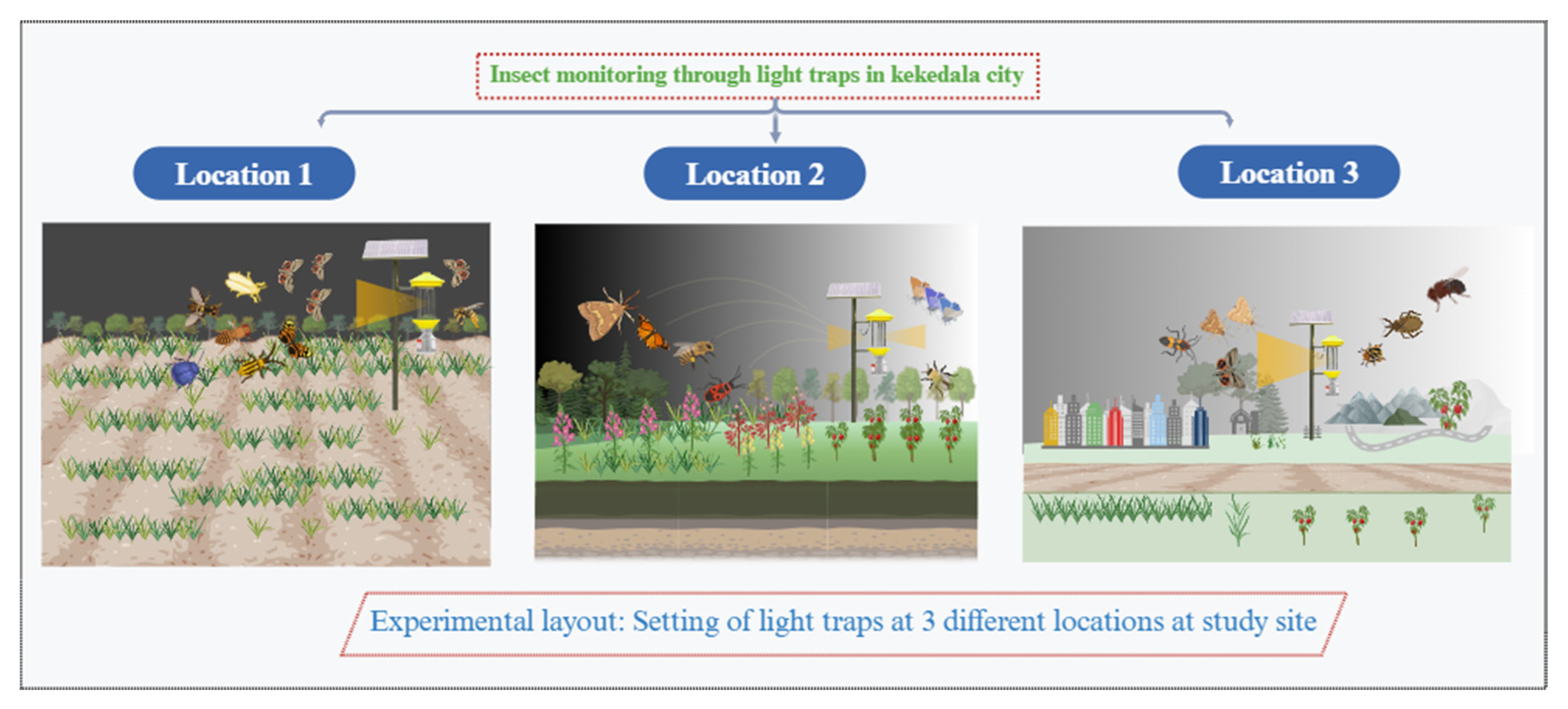 Preprints 153838 g001