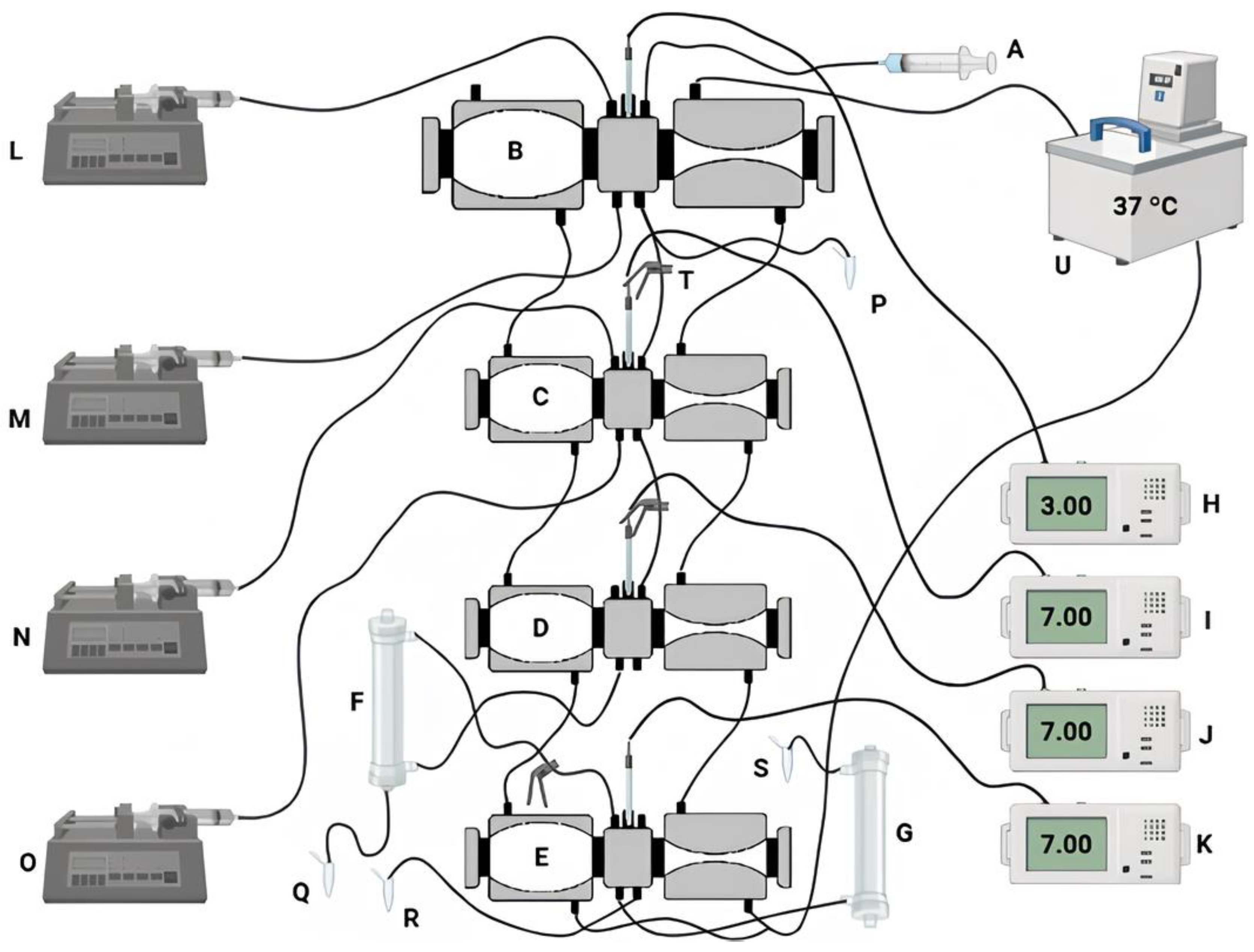 Preprints 176048 g002