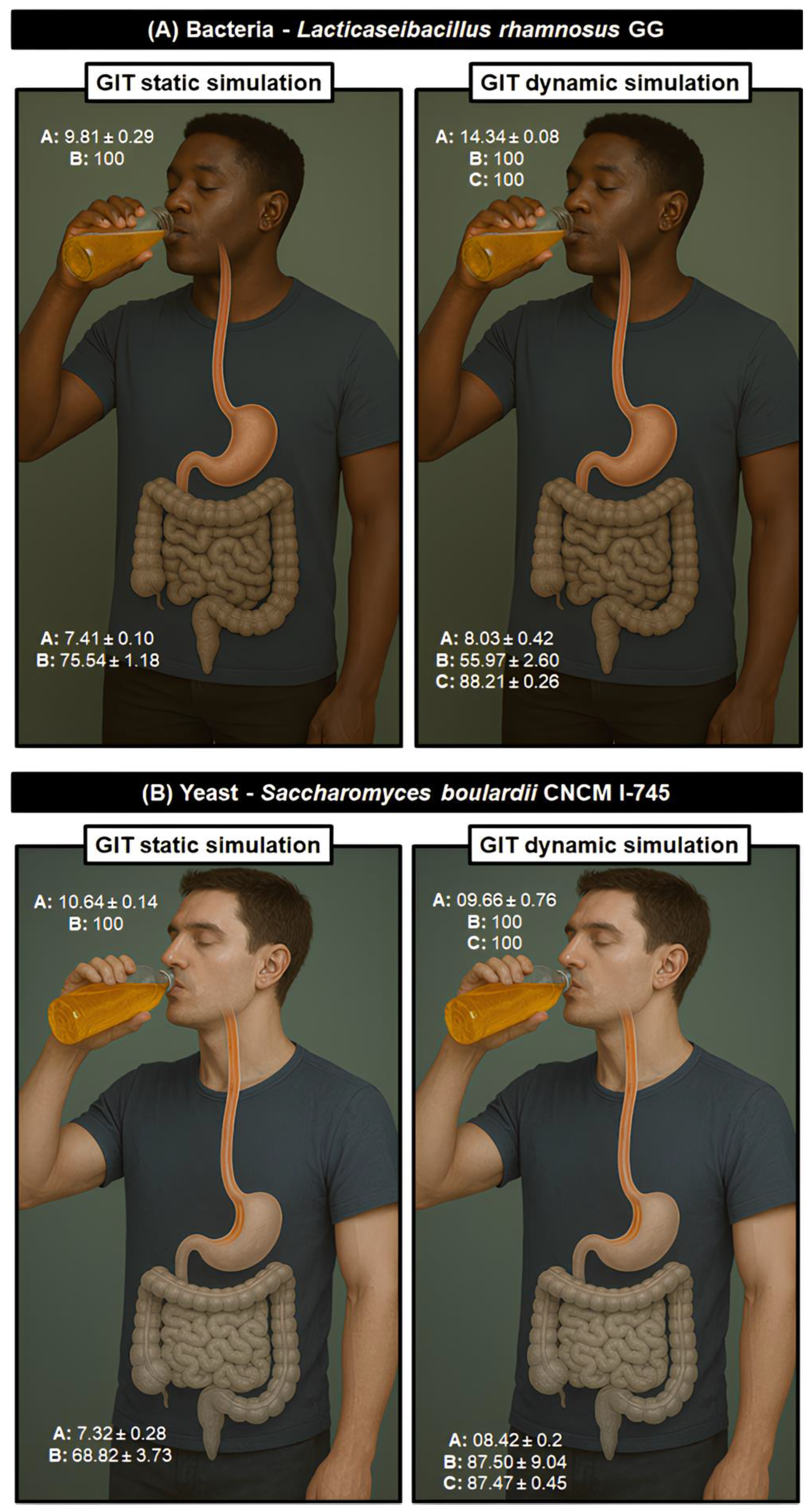 Preprints 176048 g006
